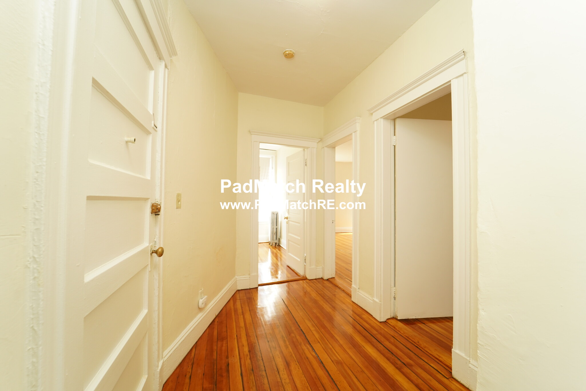 19 Mount Hood Rd, Brighton