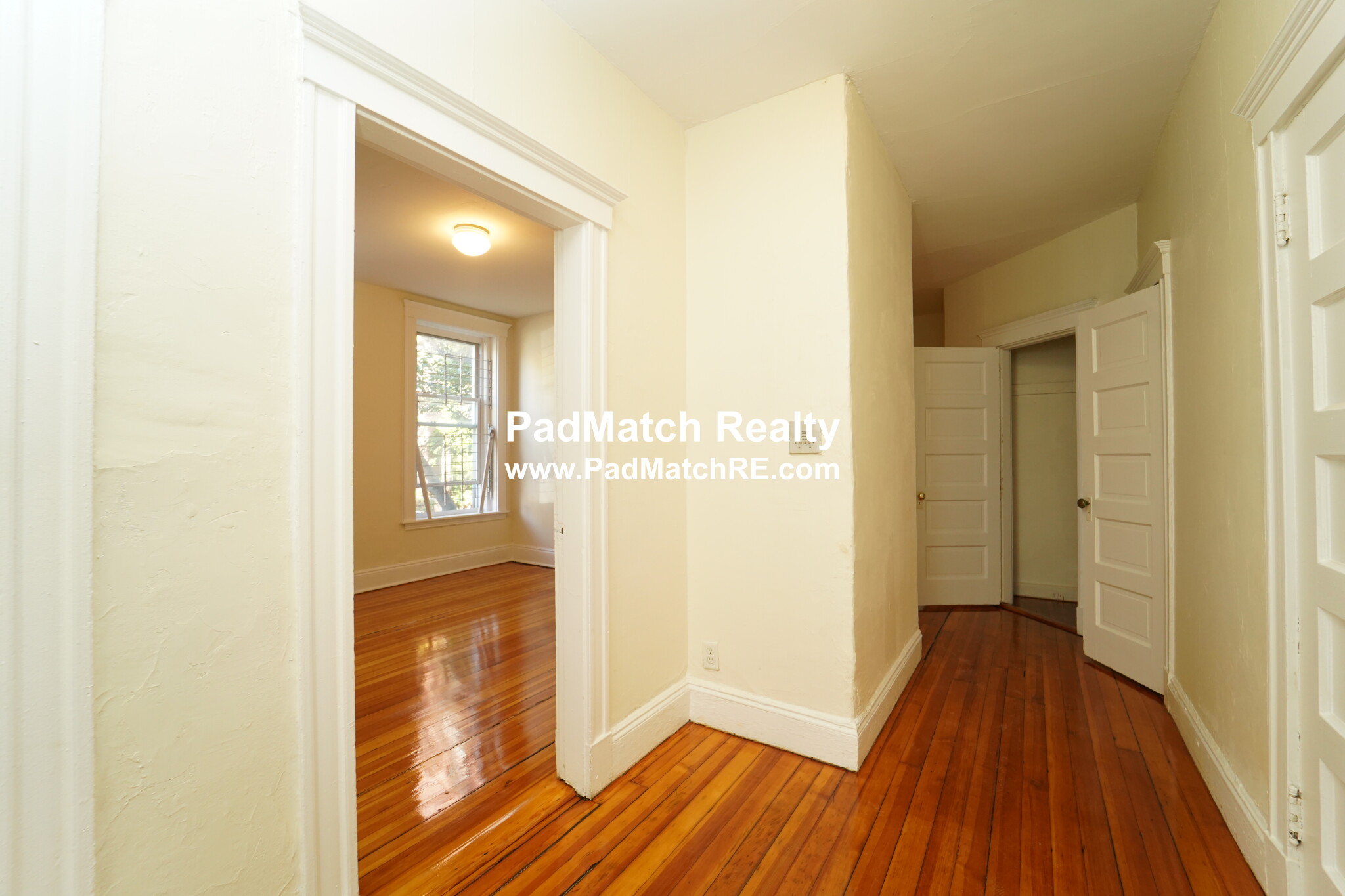 19 Mount Hood Rd, Brighton