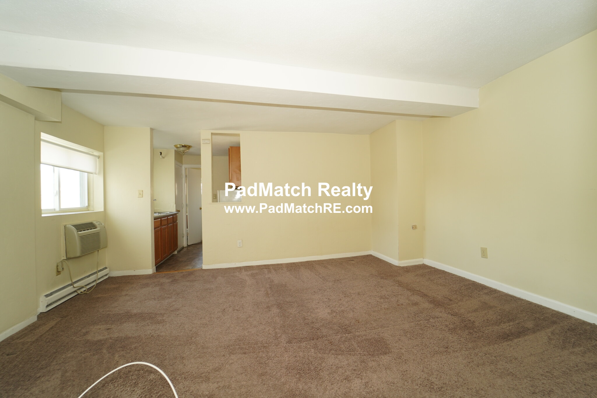 231 Harrison Ave, Chinatown