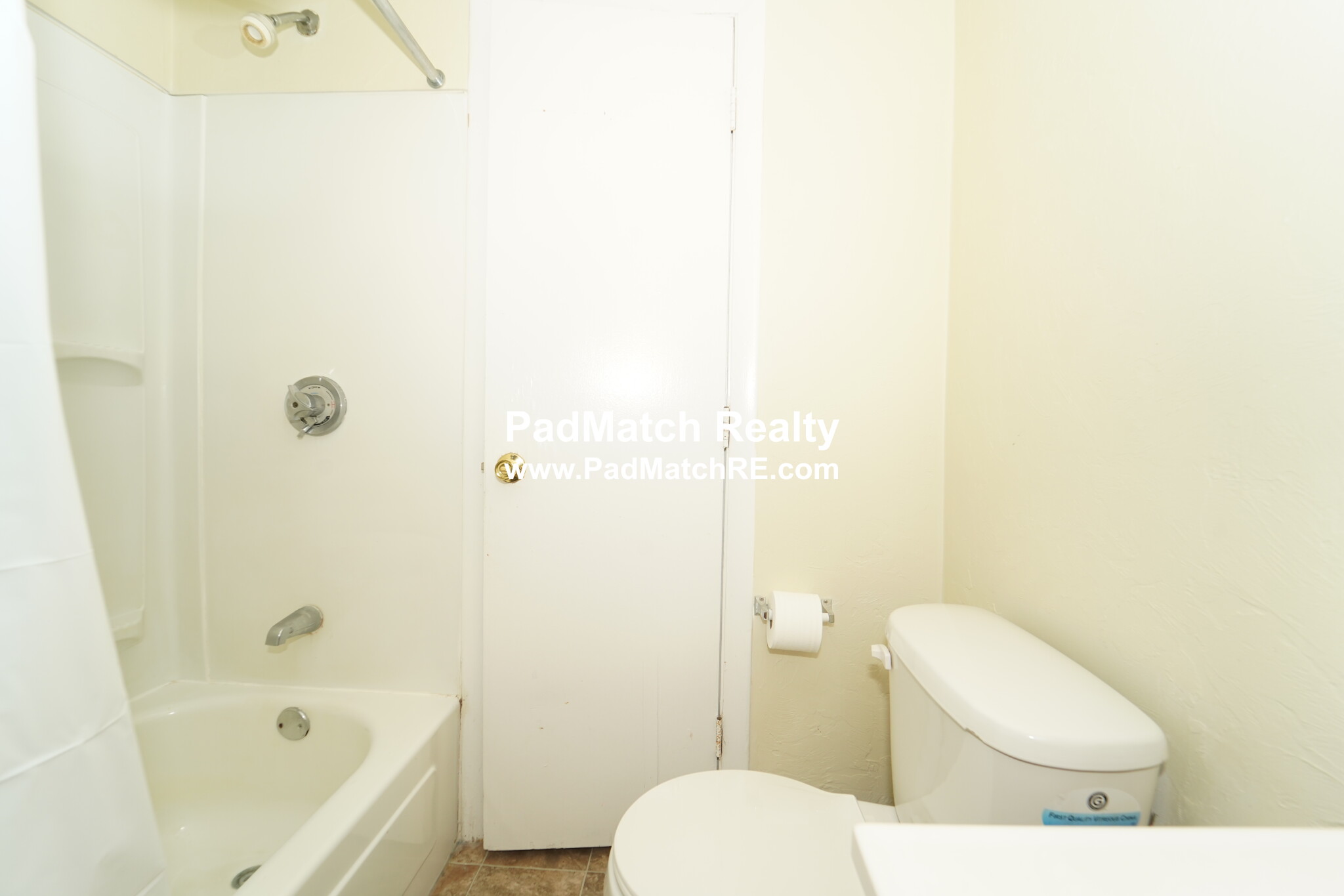 231 Harrison Ave, Chinatown