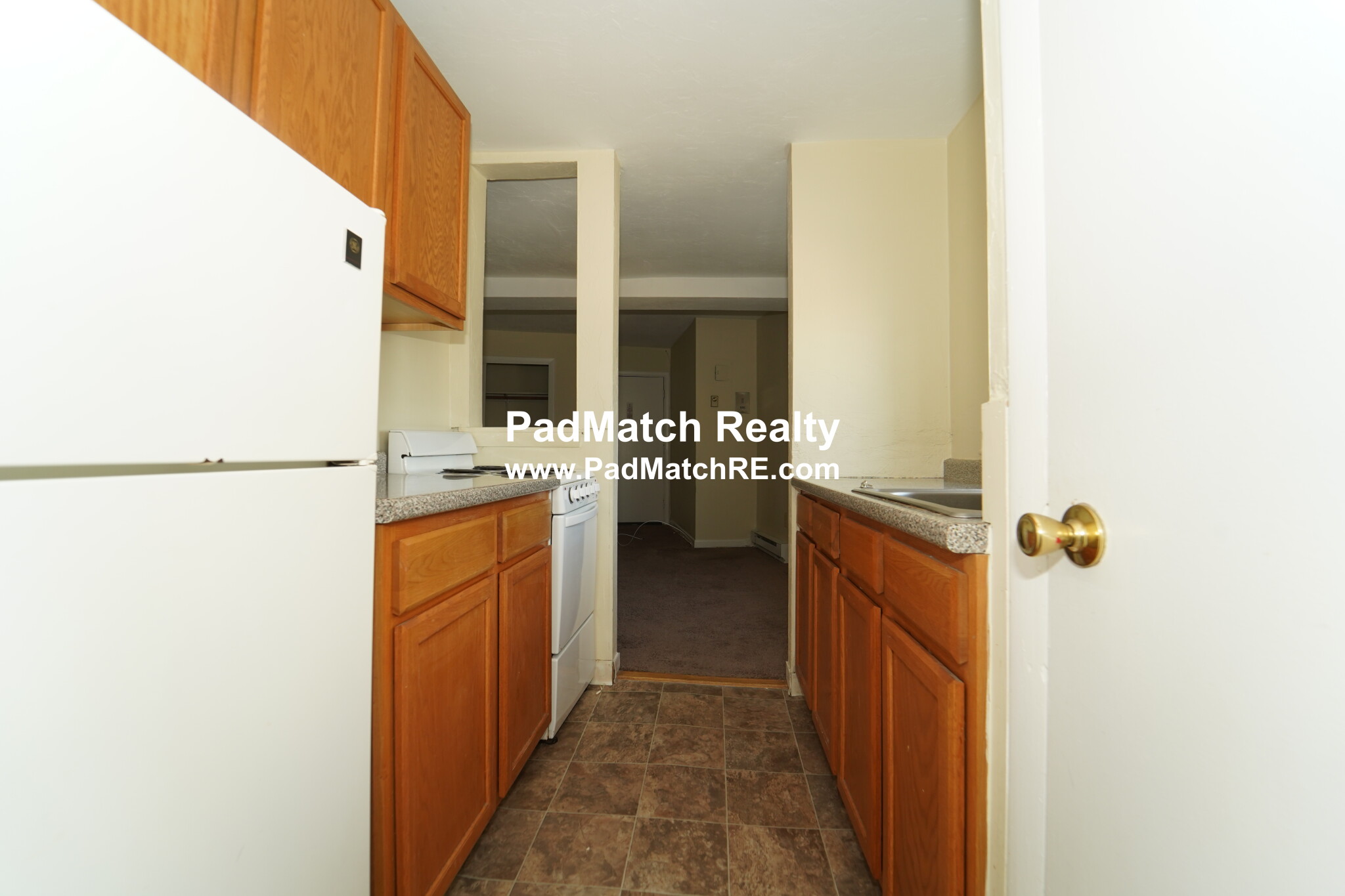 231 Harrison Ave, Chinatown