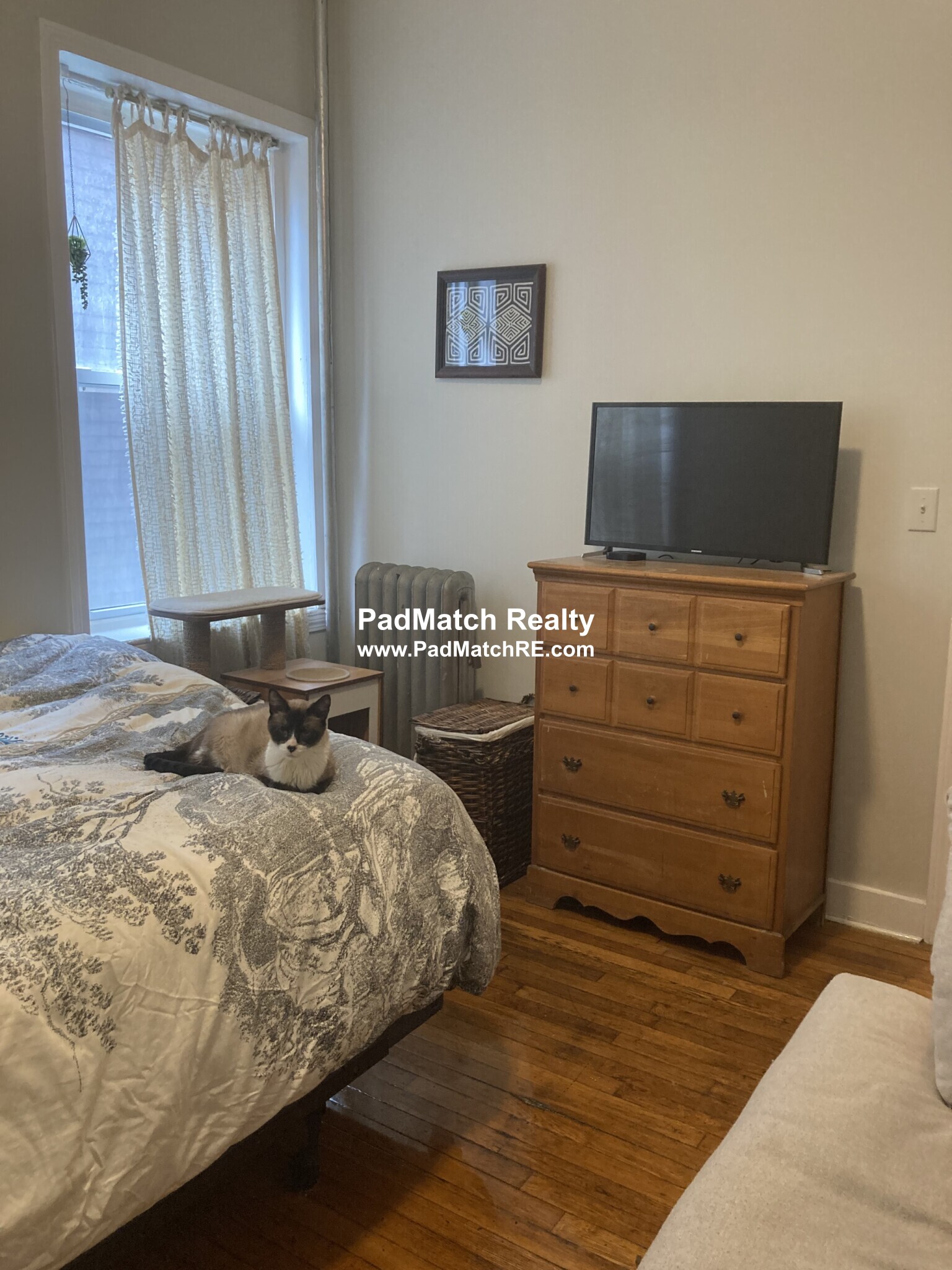 1185 Commonwealth Ave, Allston