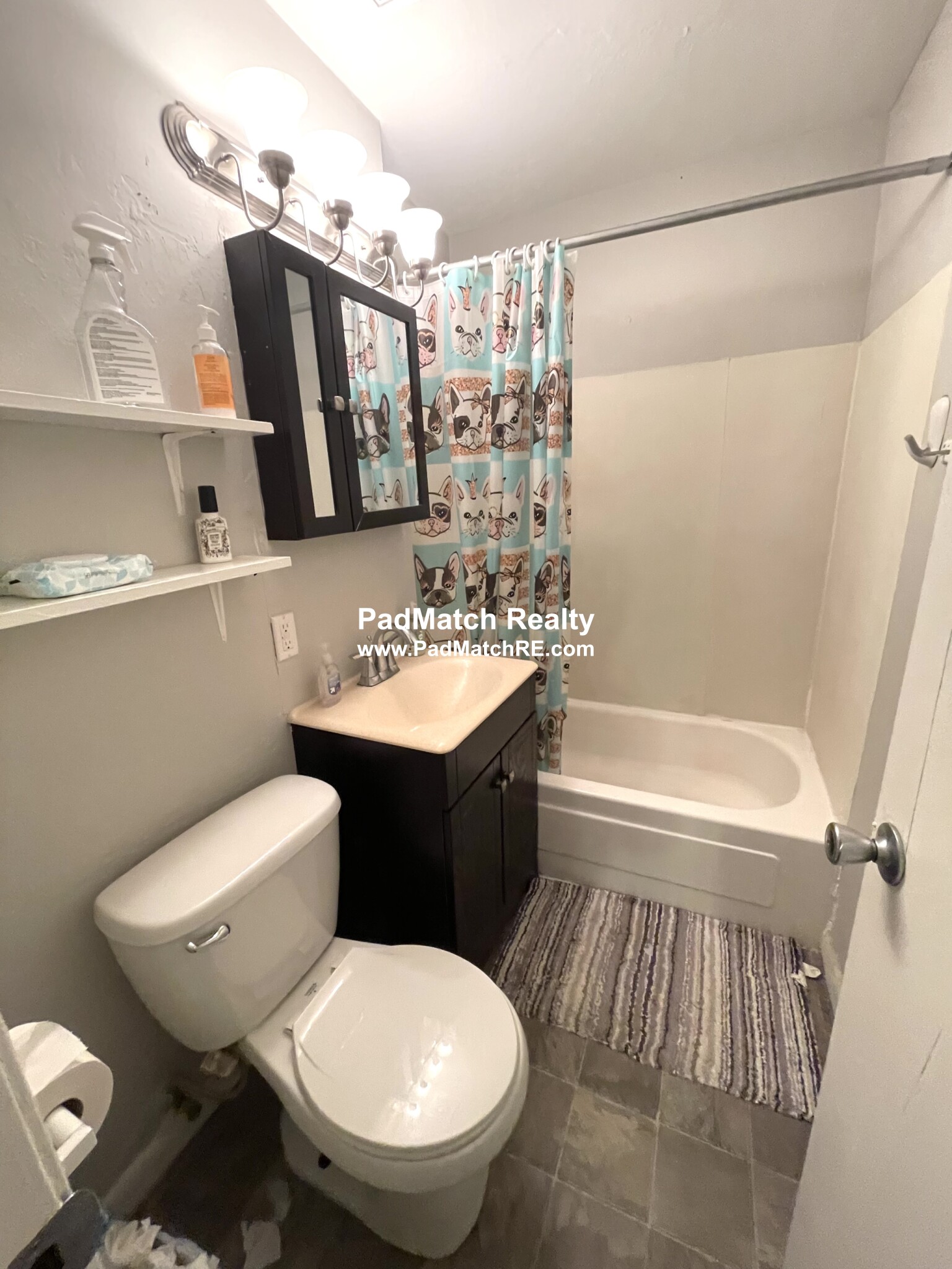 231 Harrison Ave, Chinatown