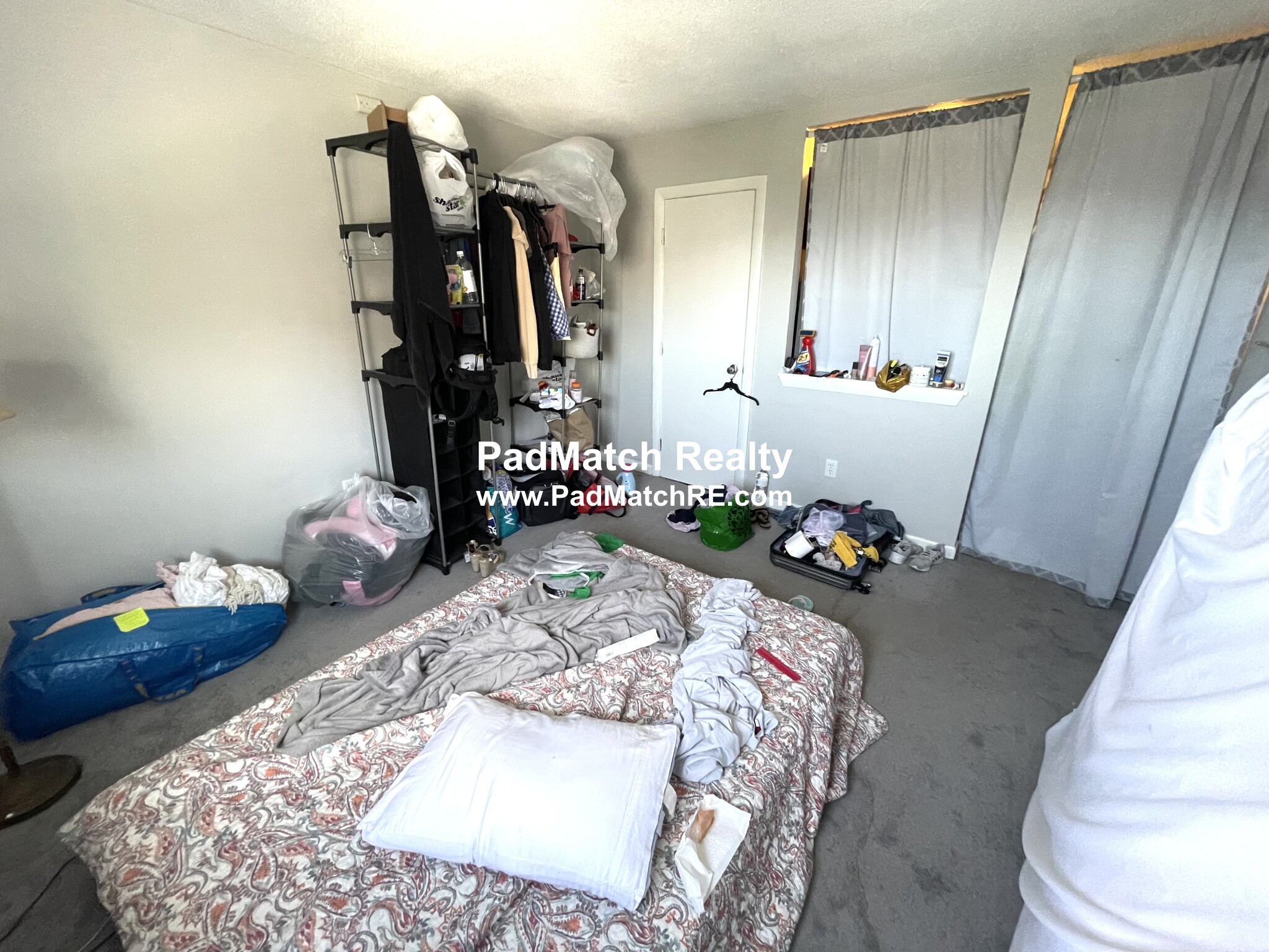 231 Harrison Ave, Chinatown