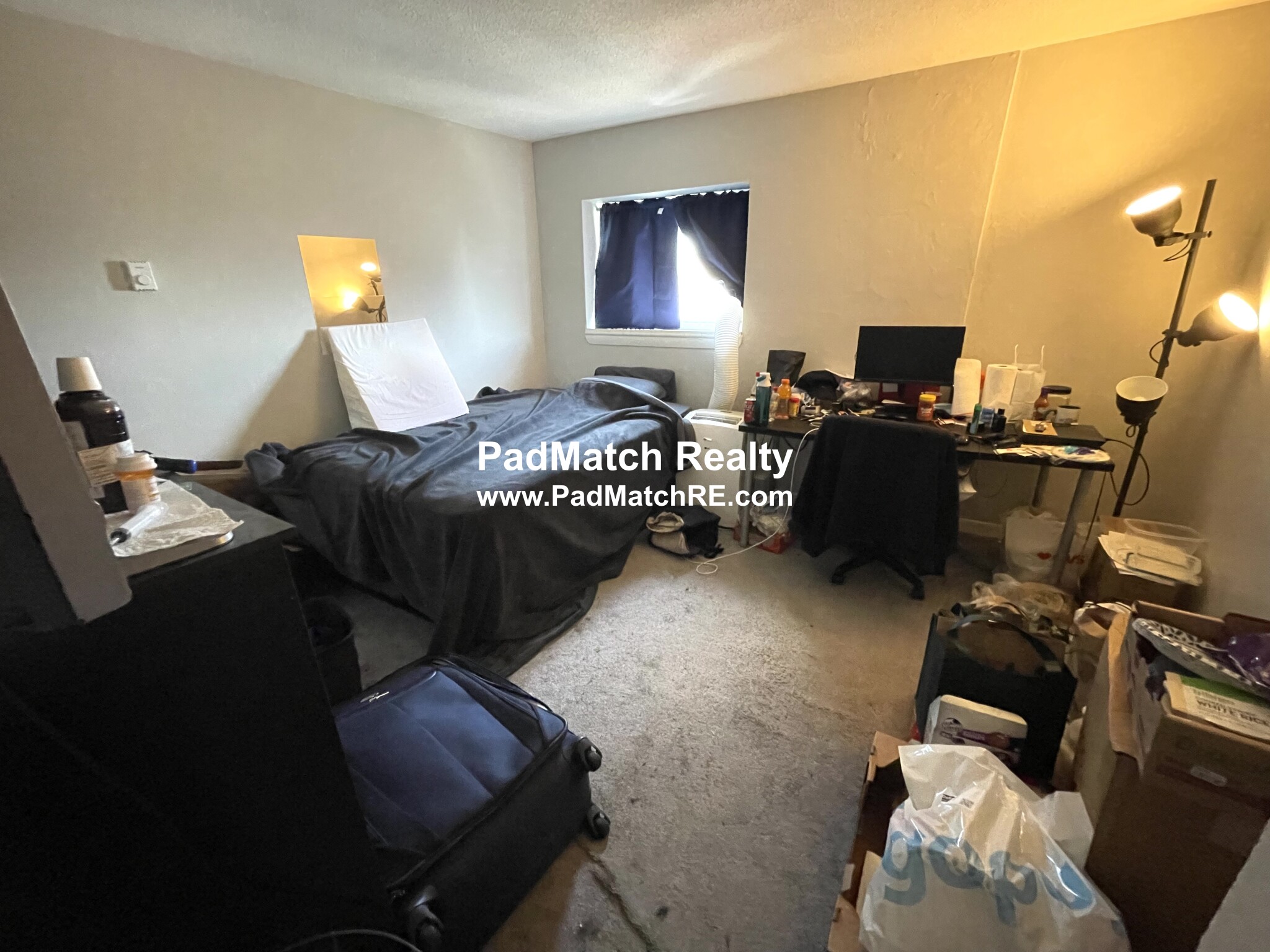 231 Harrison Ave, Chinatown