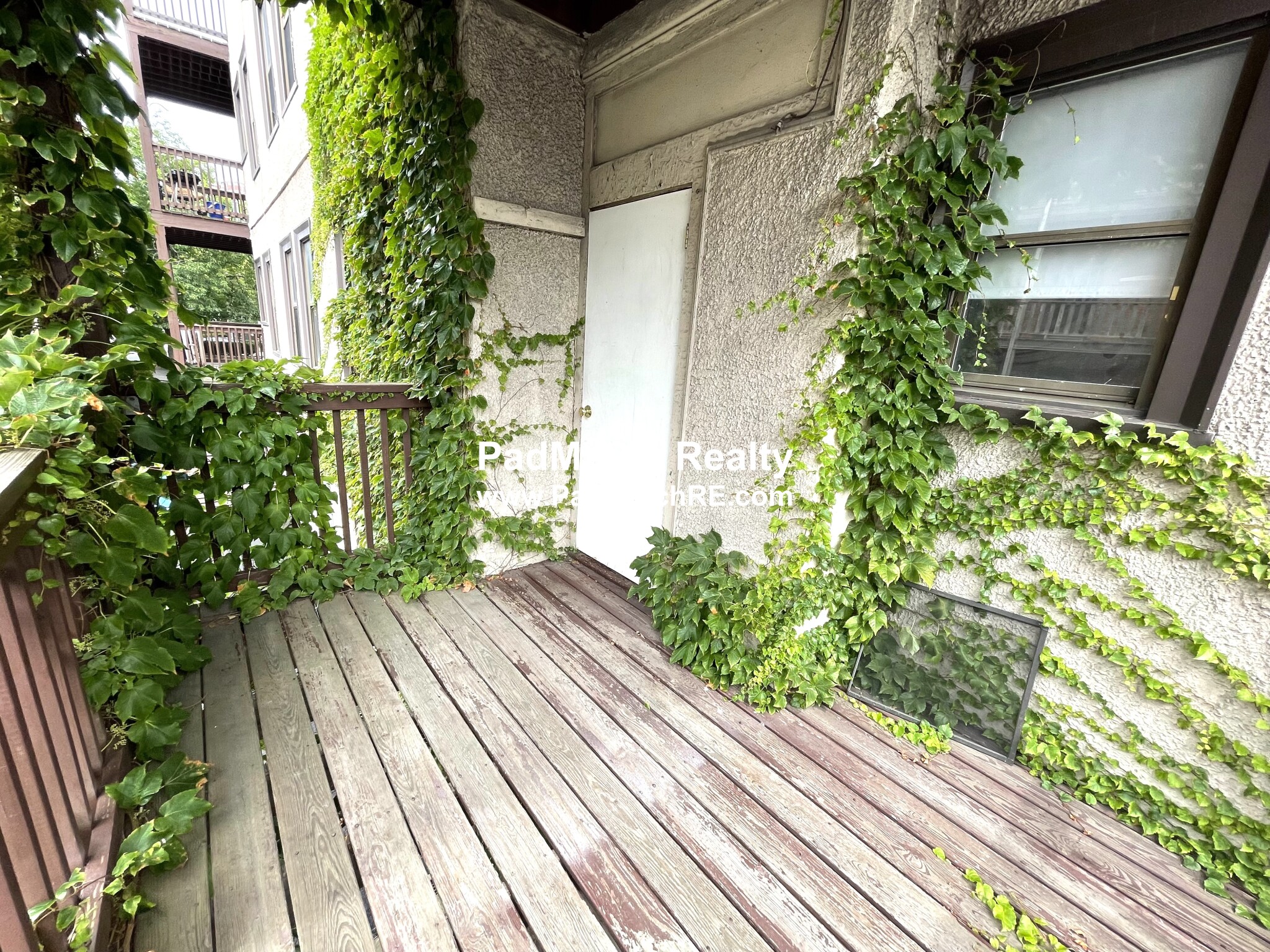 24 Hamilton Rd, Longwood