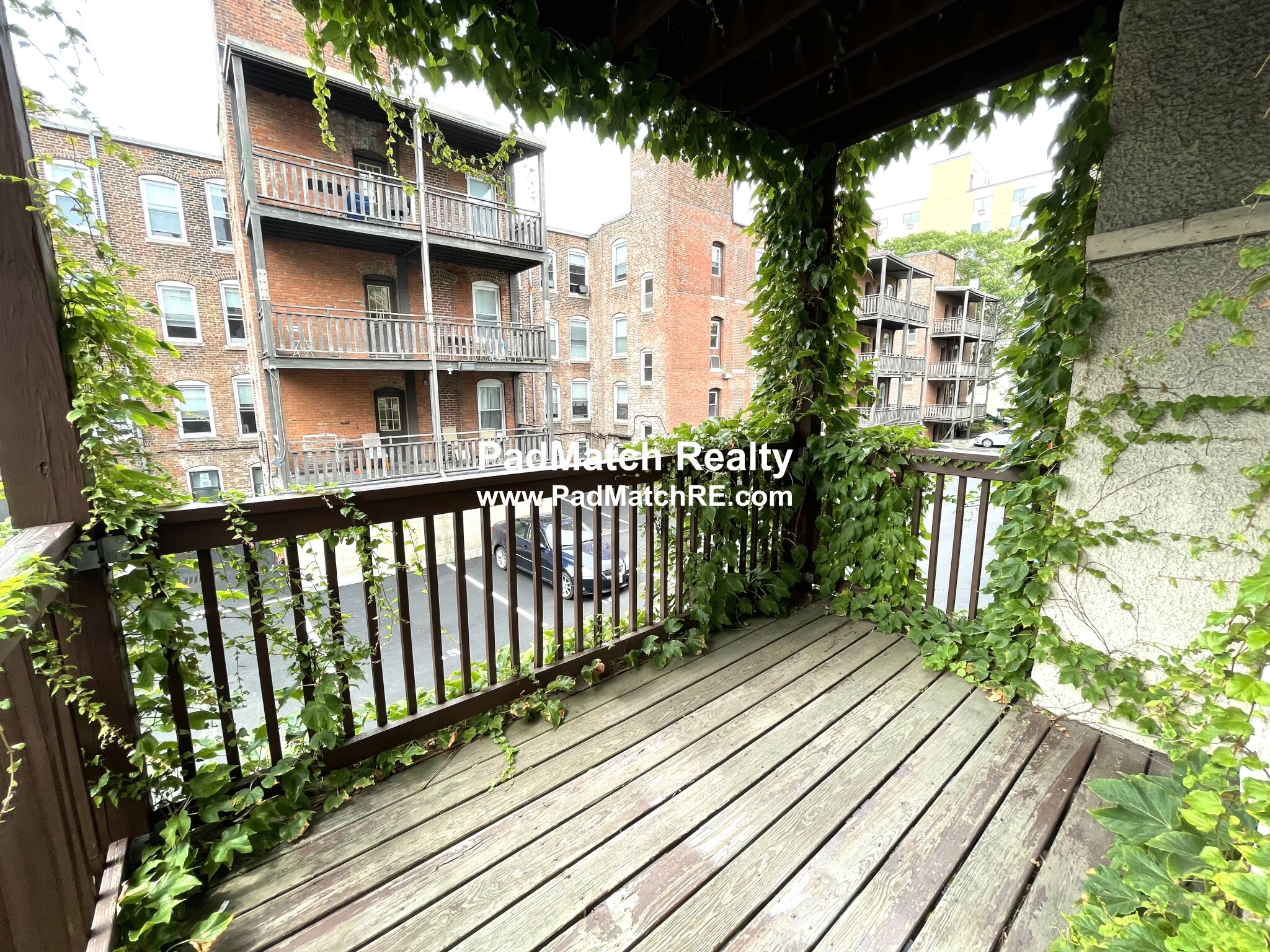 24 Hamilton Rd, Longwood