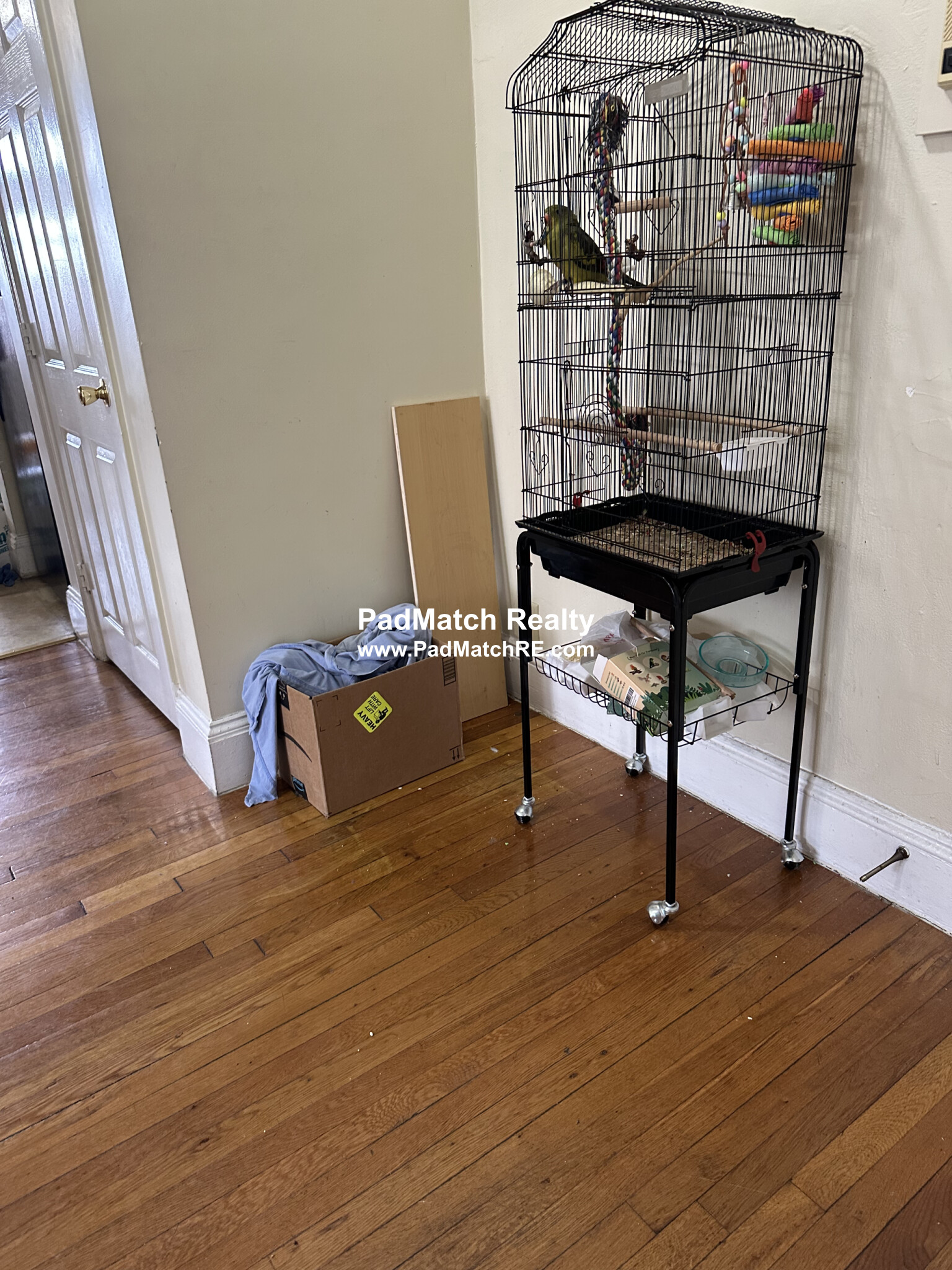 41 Chestnut Hill Ave, Brighton