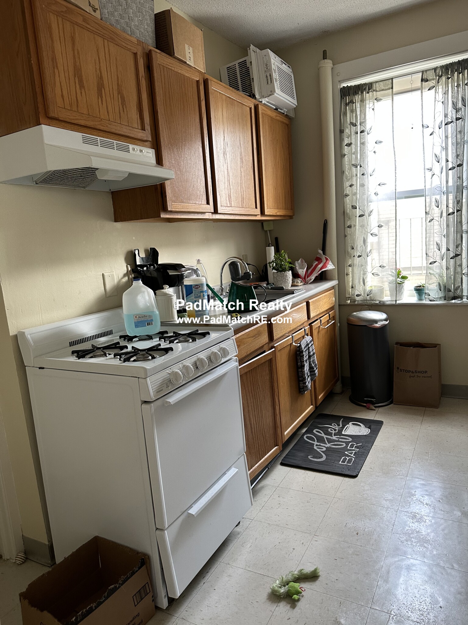 161 Kelton St, Fenway