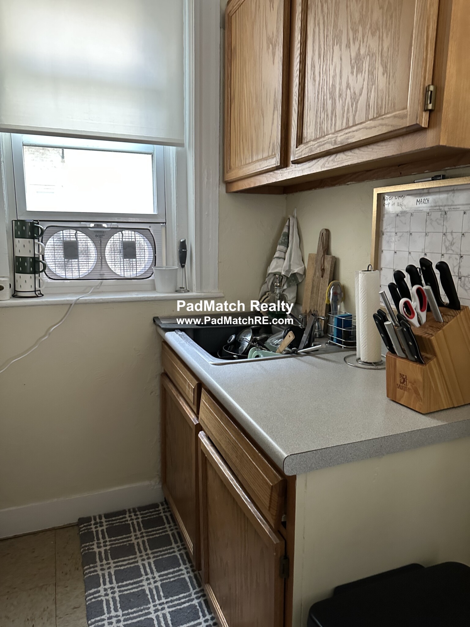https://ygl-photos.s3.us-west-004.backblazeb2.com/8055W6420c11cb11b0.jpg