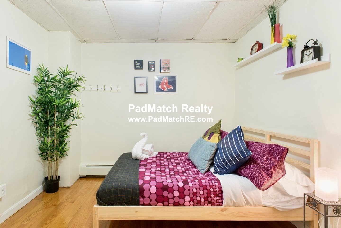 43 Bay State Rd, Fenway