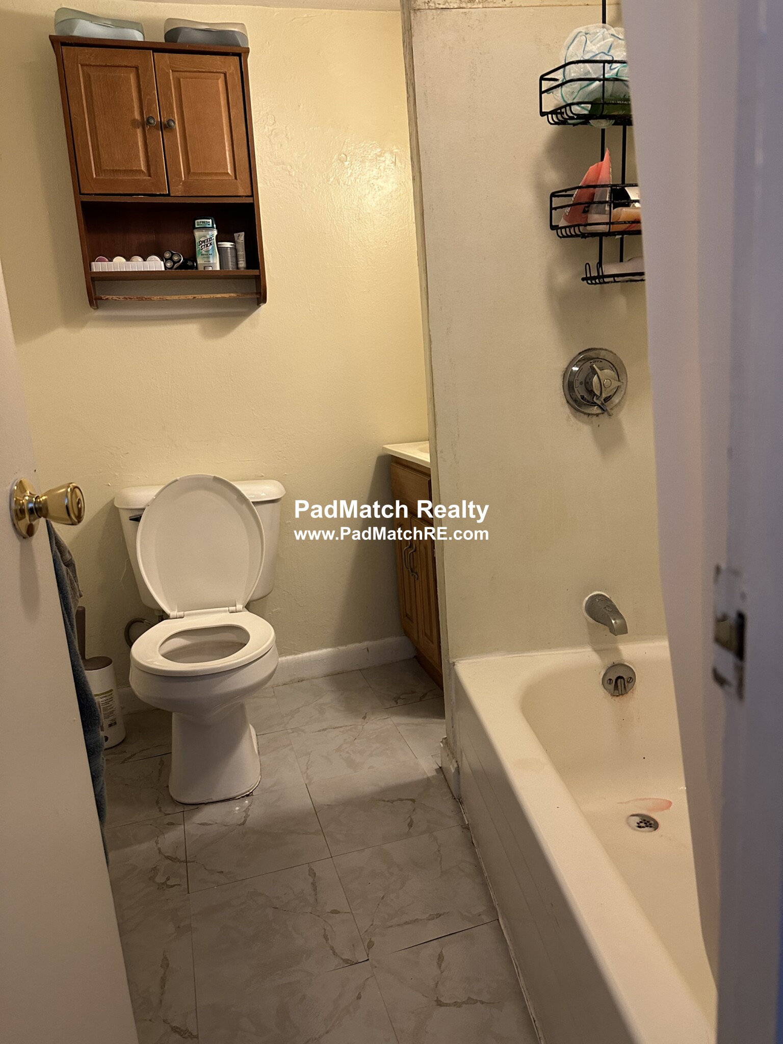 231 Harrison Ave, Chinatown