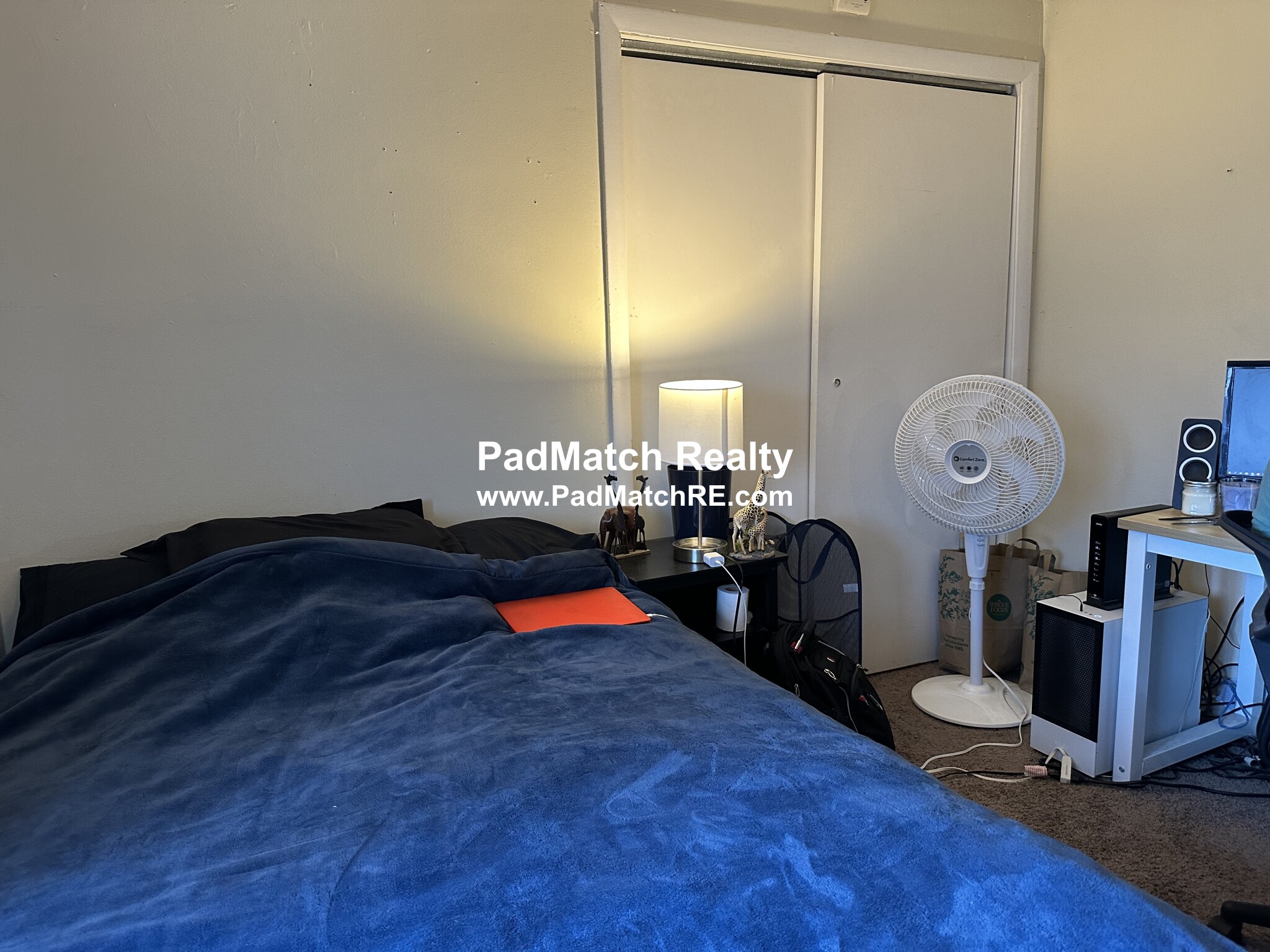 231 Harrison Ave, Chinatown