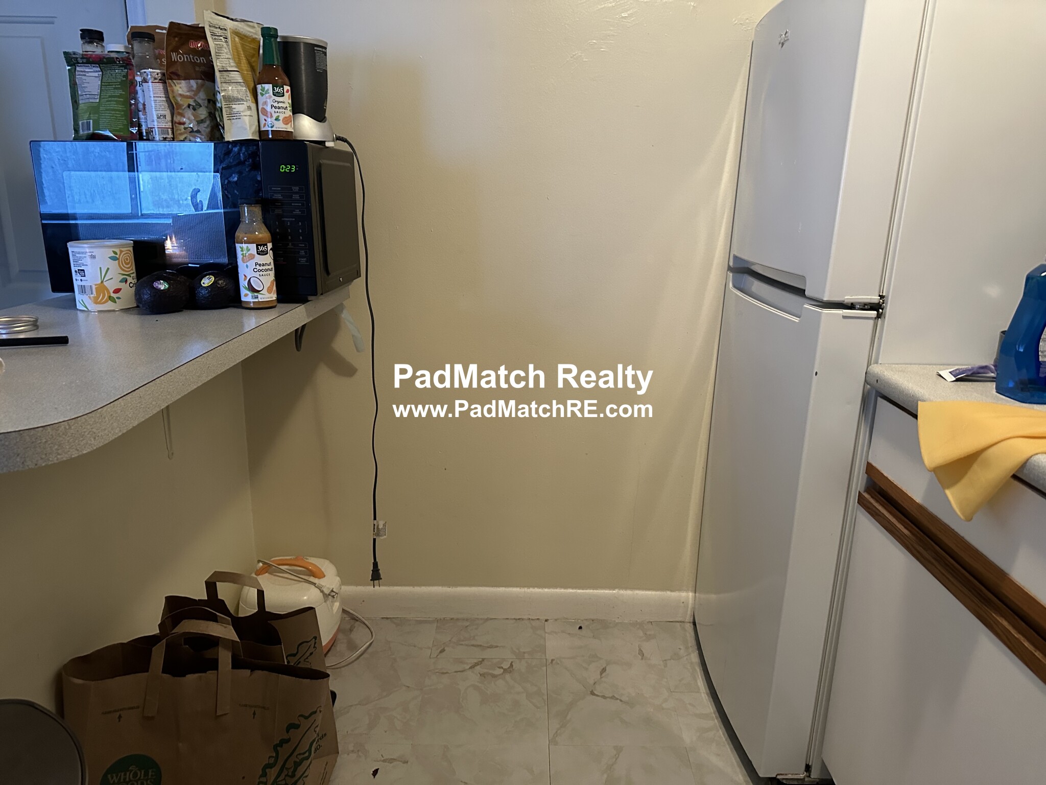 231 Harrison Ave, Chinatown