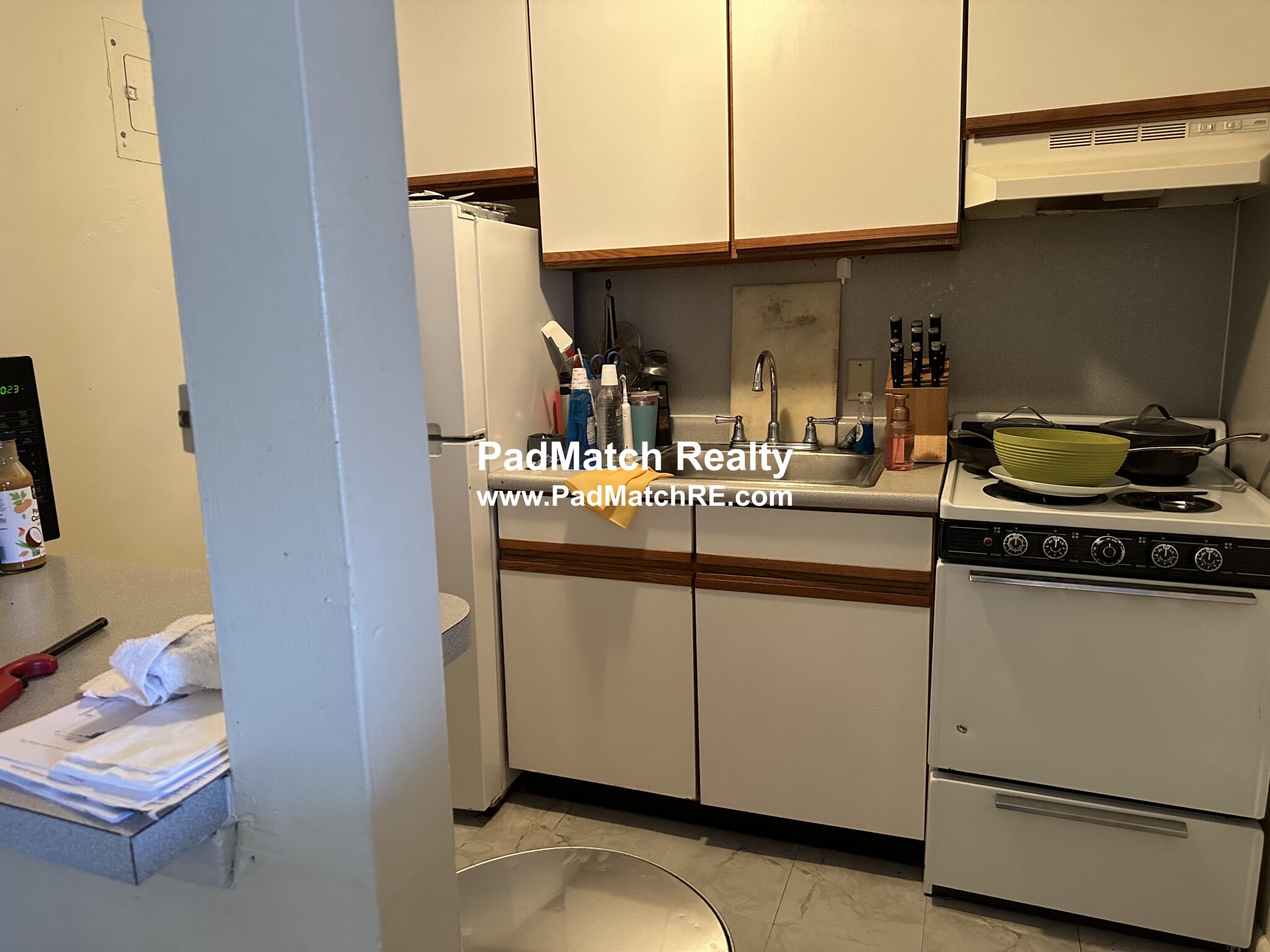 231 Harrison Ave, Chinatown