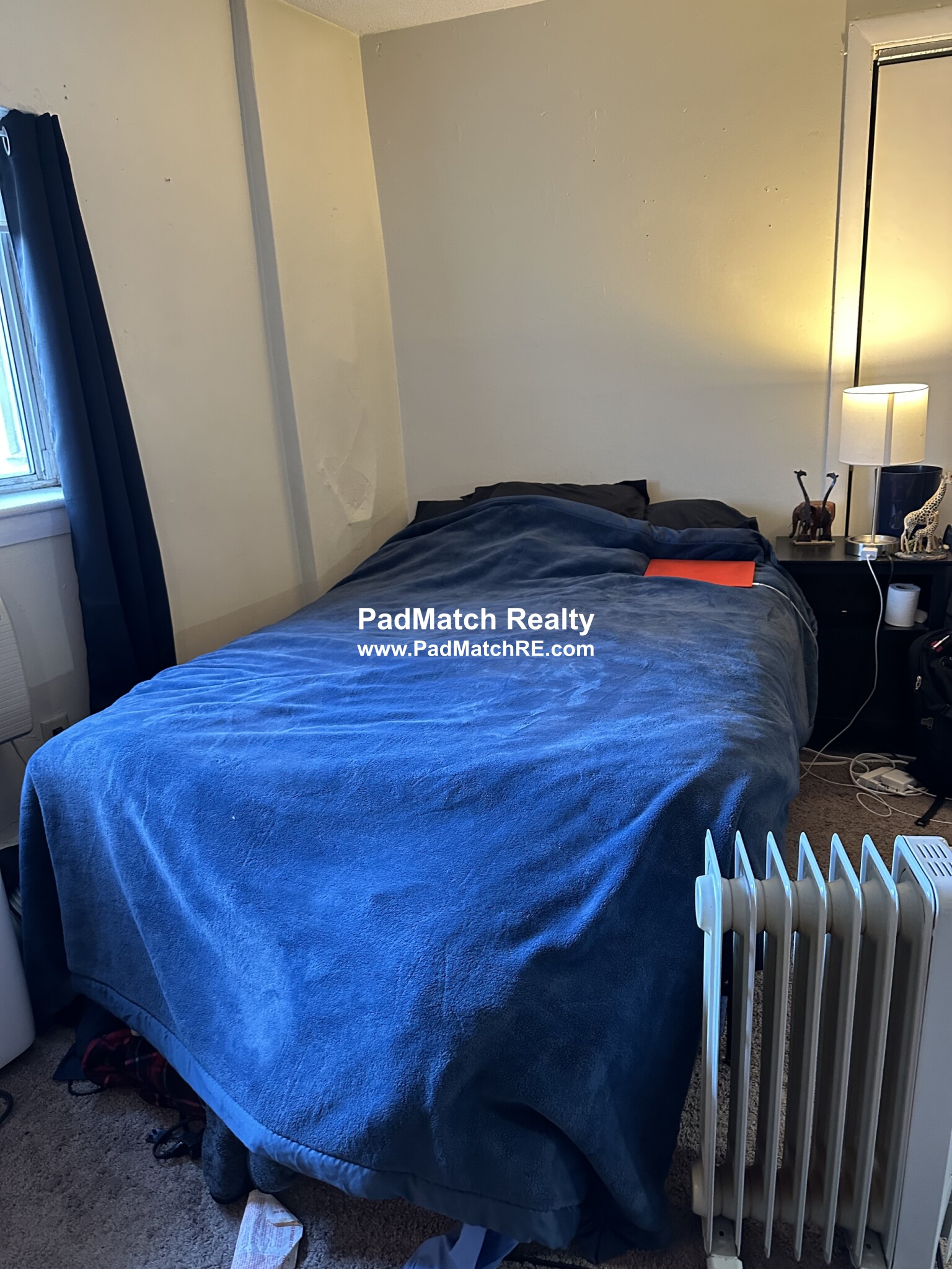 231 Harrison Ave, Chinatown