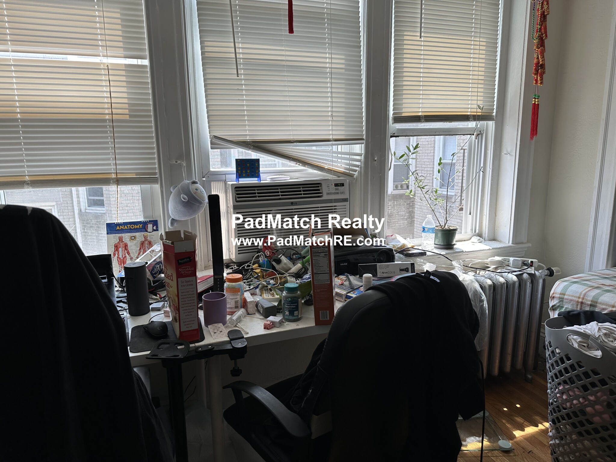 1171 Boylston St, Fenway