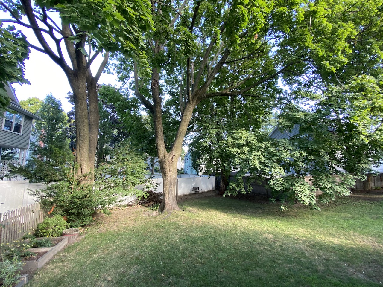 57 Oxford Ave, Belmont