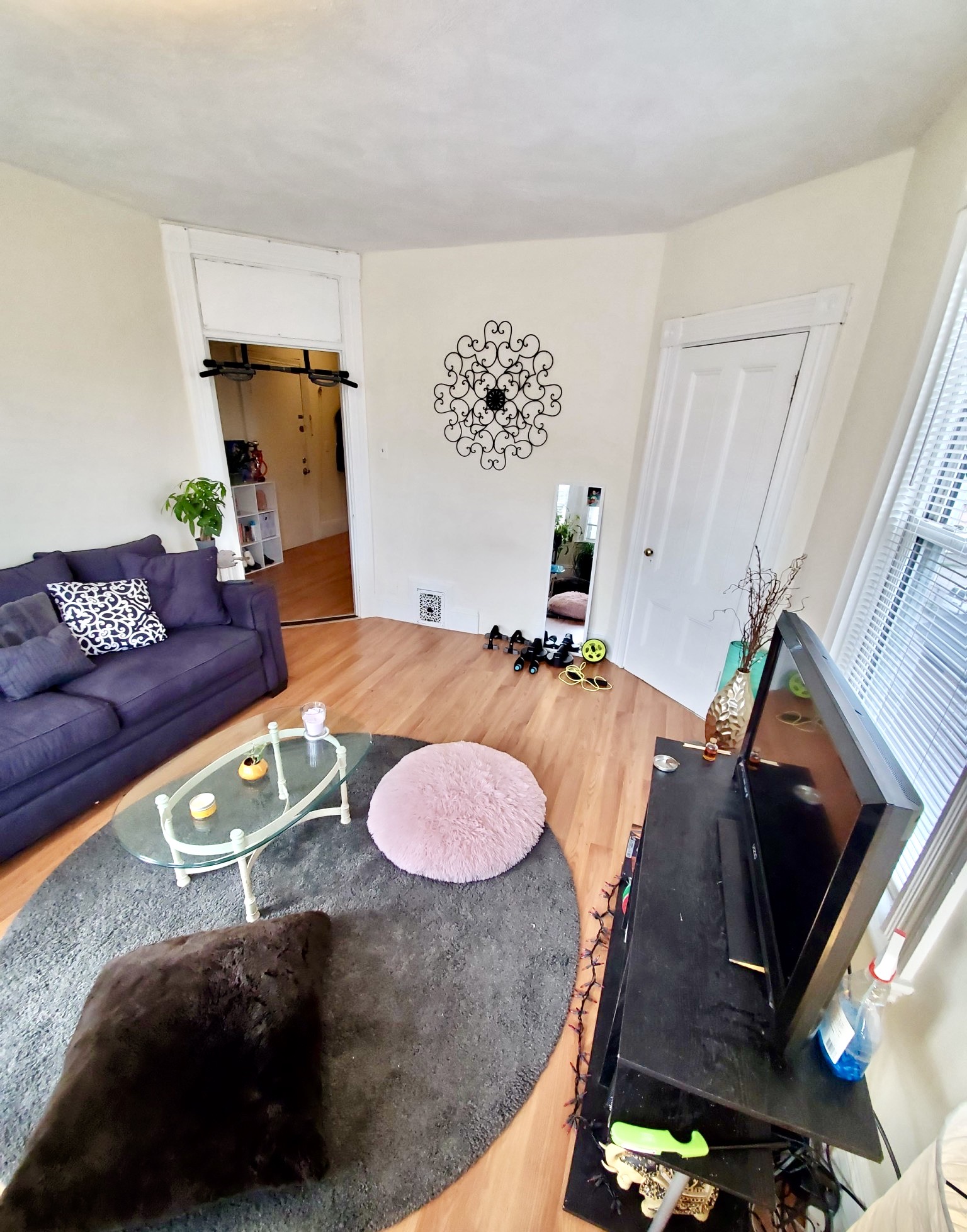 Photos of apartment on Forest,Boston MA 02119
