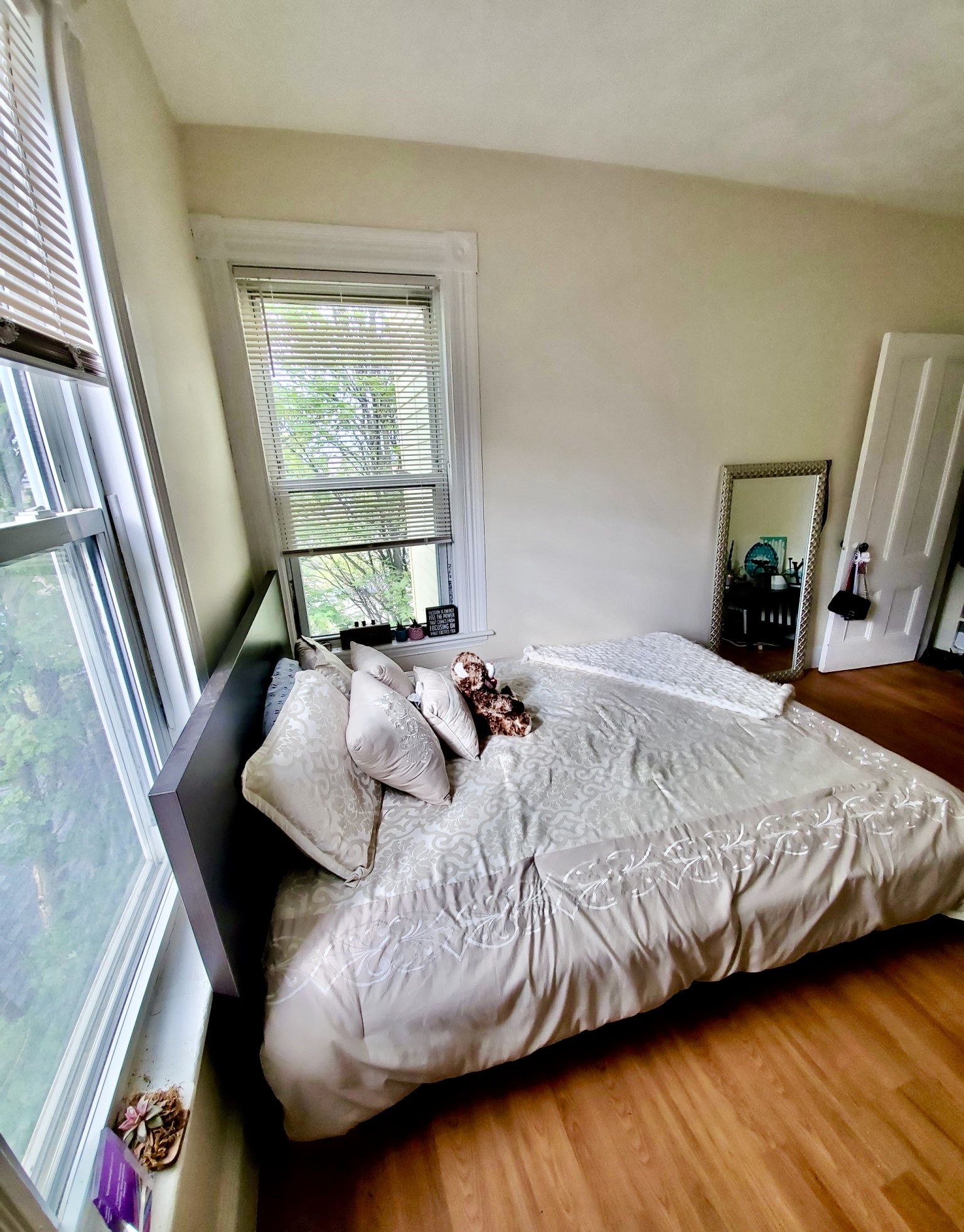 Photos of apartment on Forest,Boston MA 02119