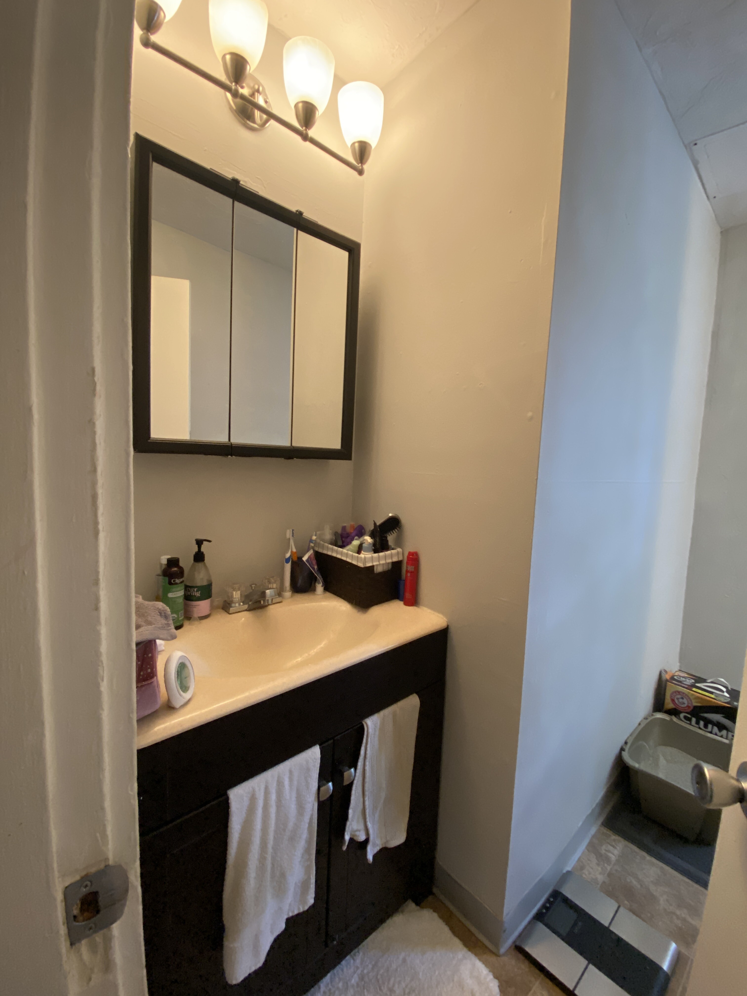 172 Bigelow St, Brighton