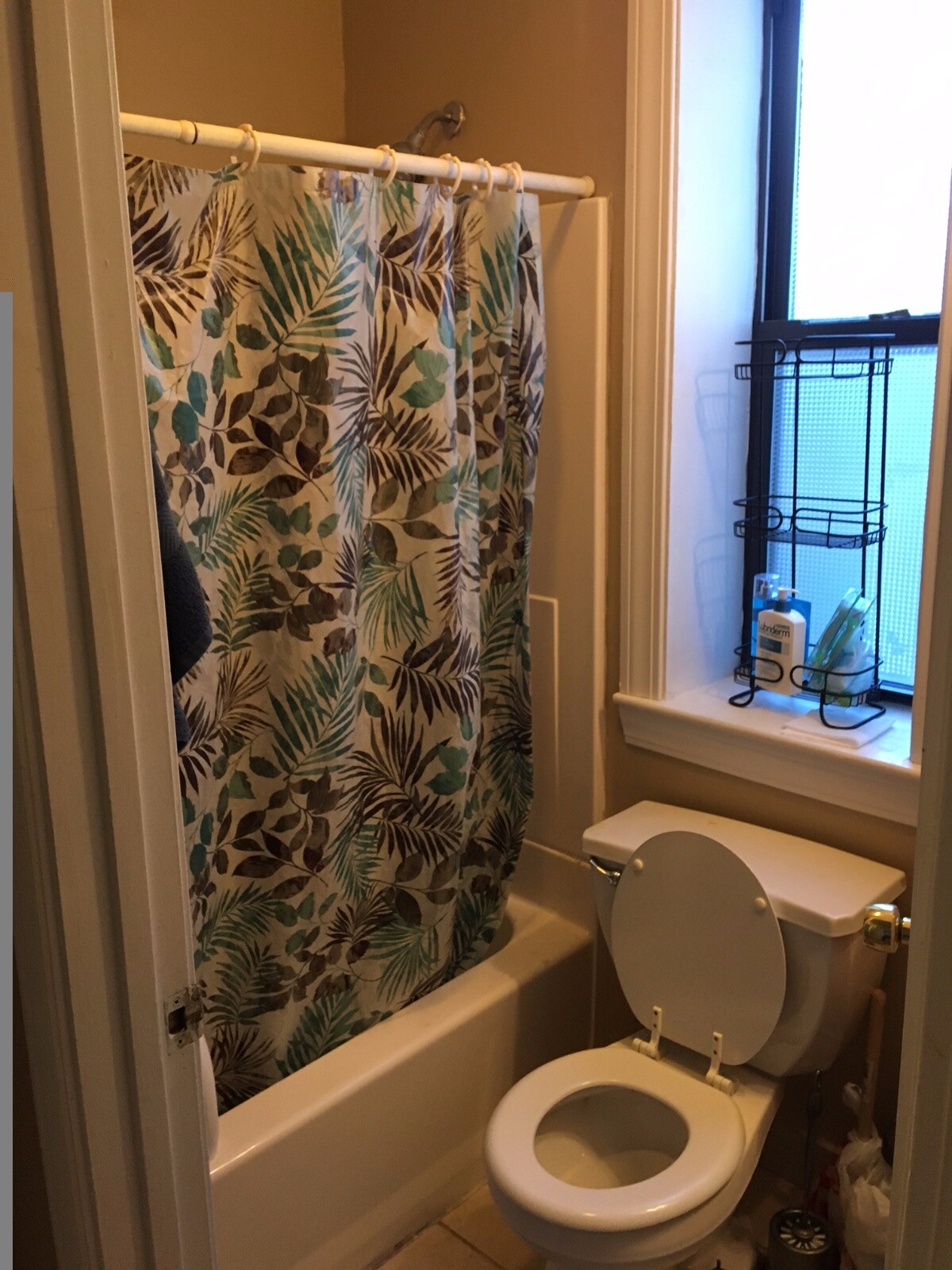 17 Highgate St, Allston