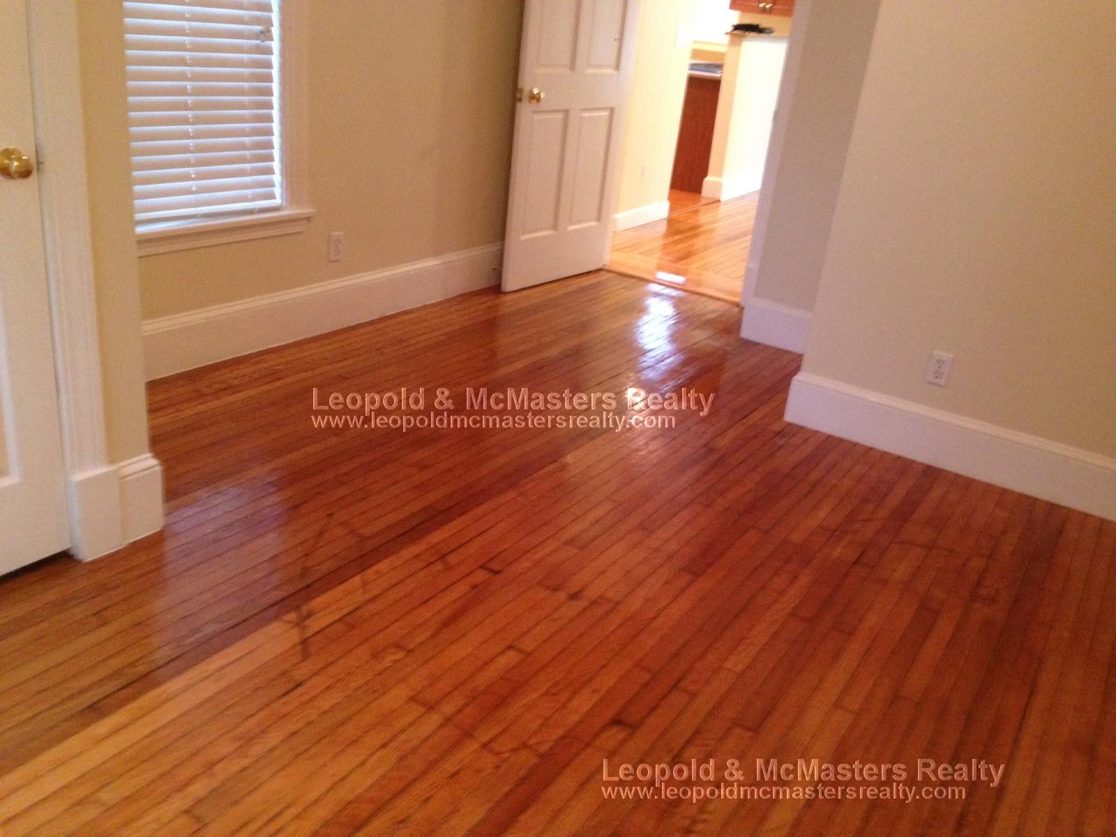 62 Maple St, Hyde Park