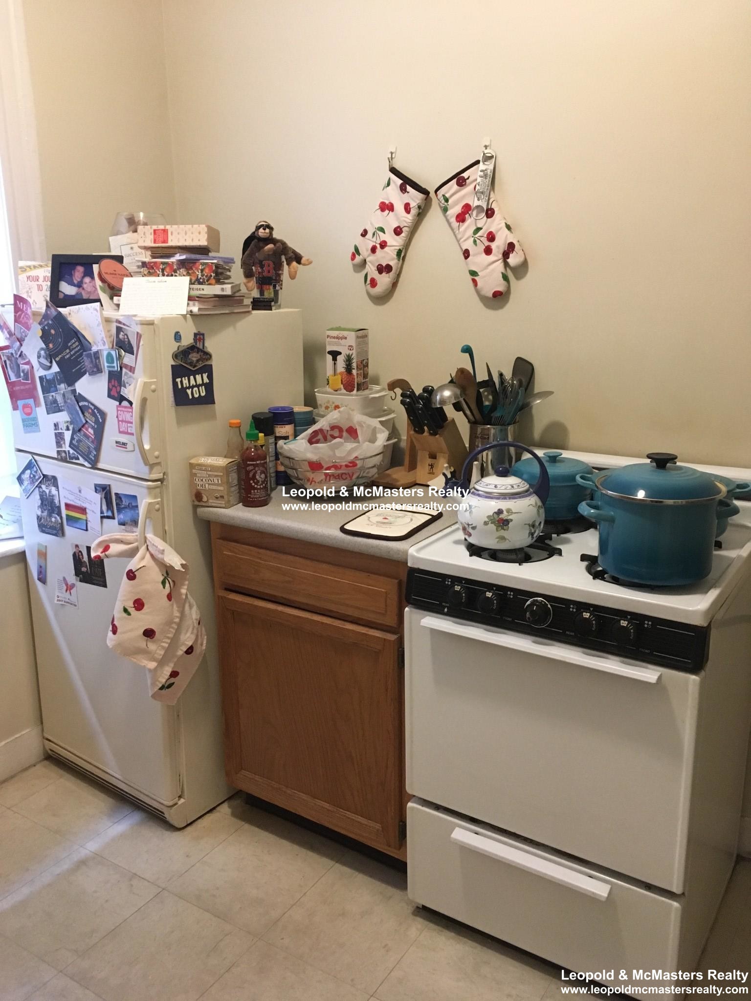 161 Kelton St, Brighton