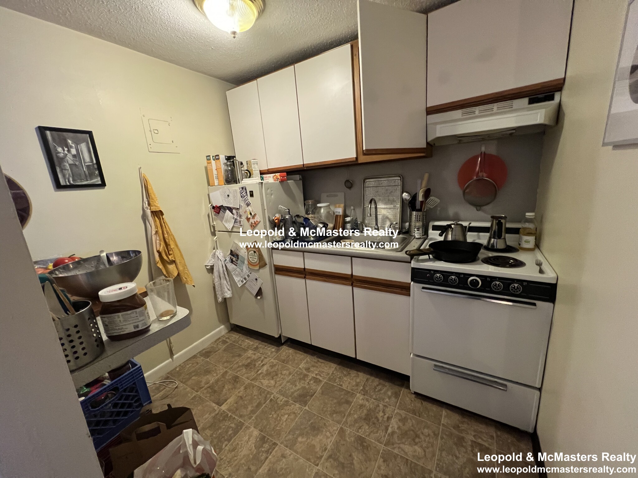 231 Harrison Ave, Chinatown