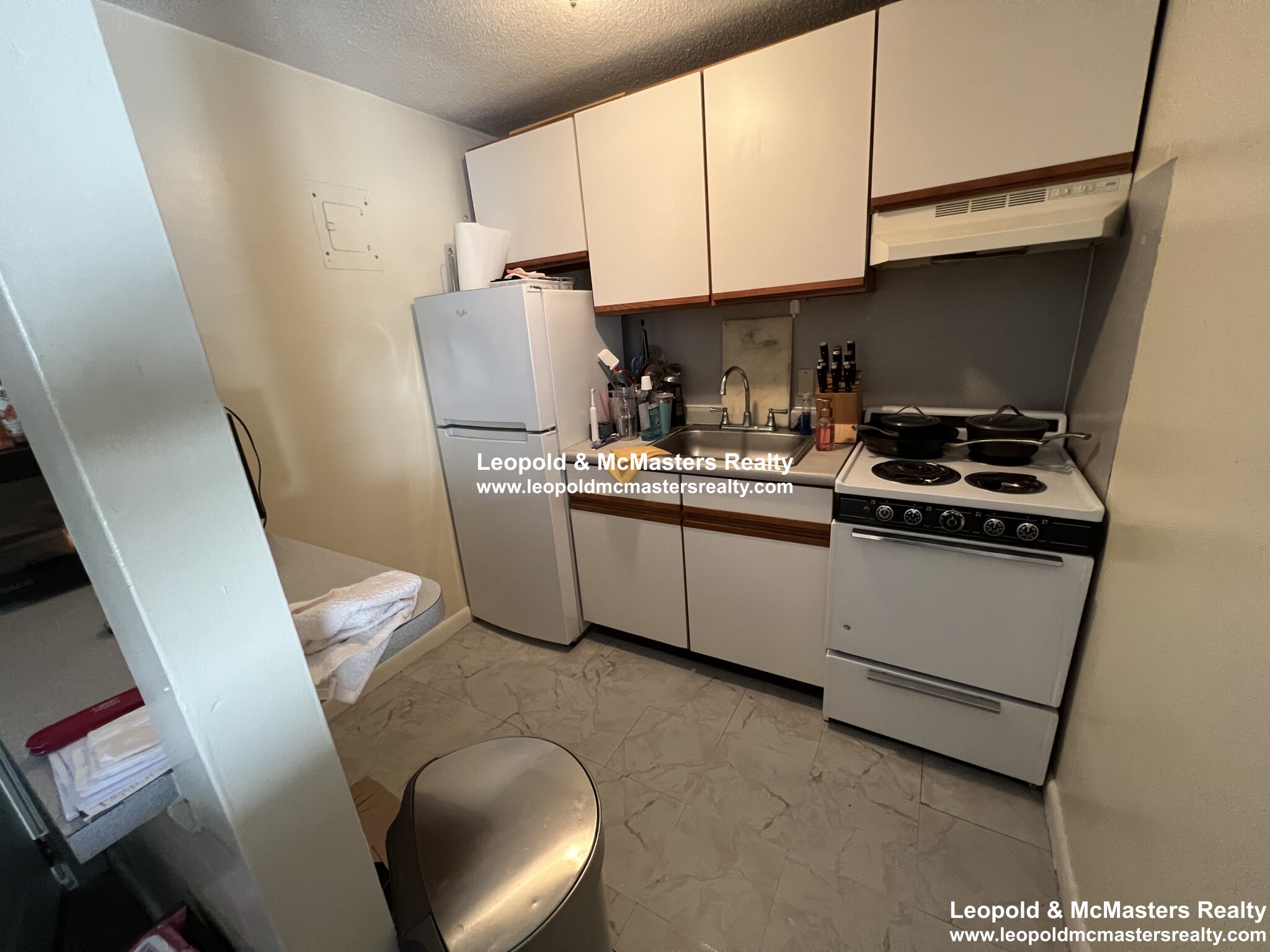 231 Harrison Ave, Chinatown