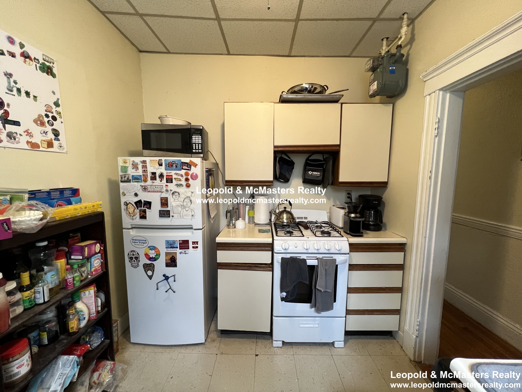 161 Kelton St, Brighton