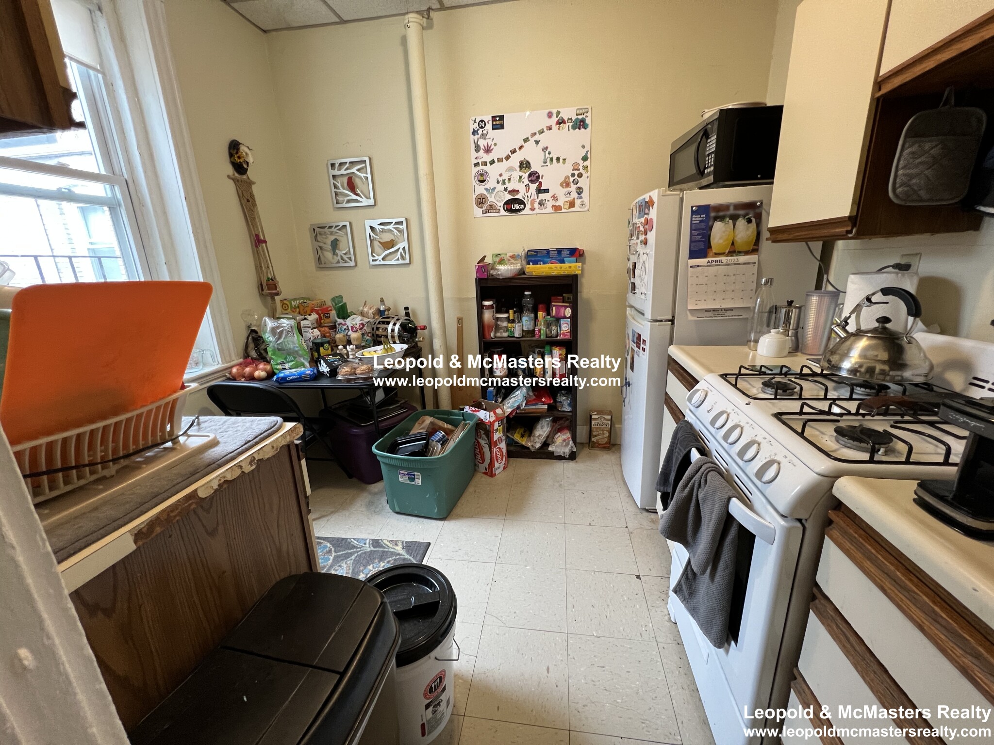 161 Kelton St, Brighton