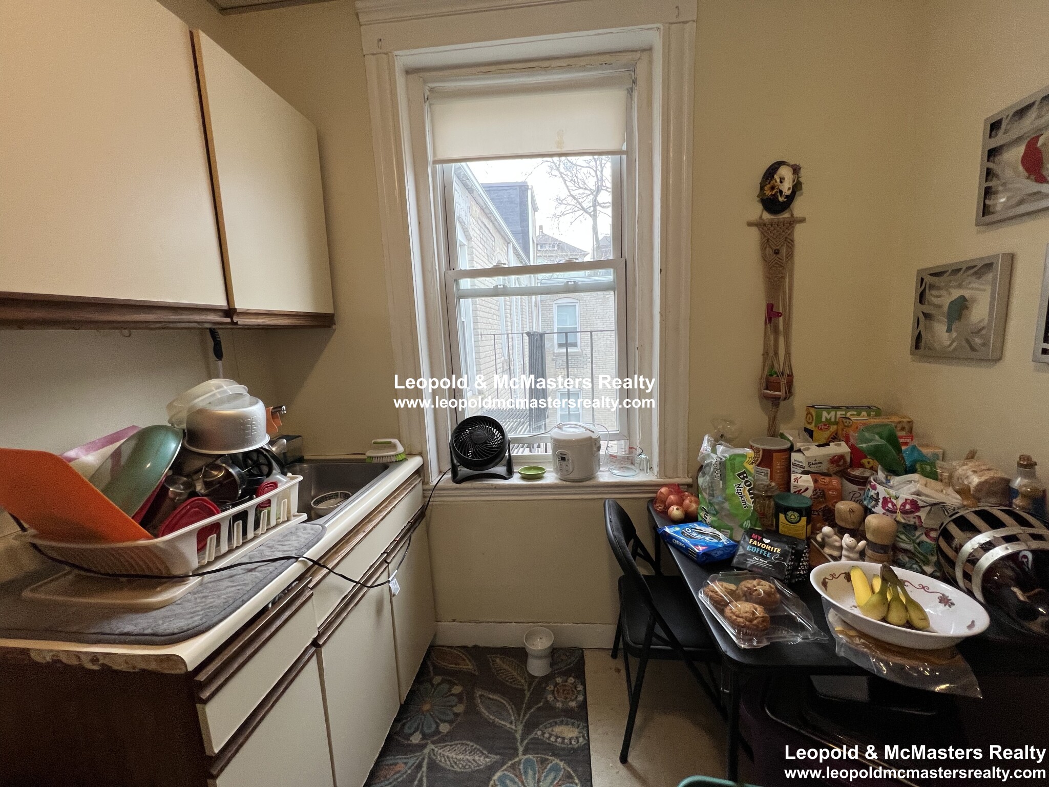 161 Kelton St, Brighton