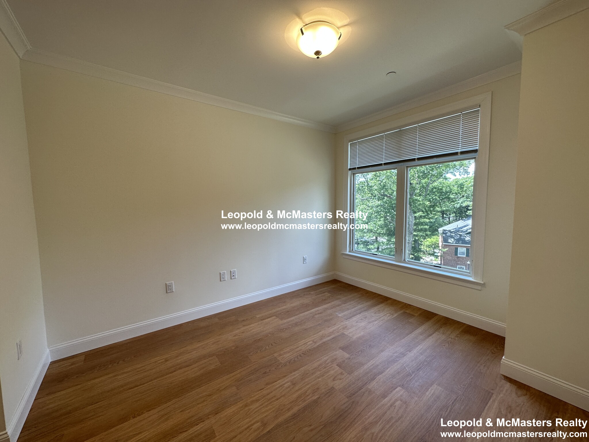 101 Asheville Rd, Chestnut Hill