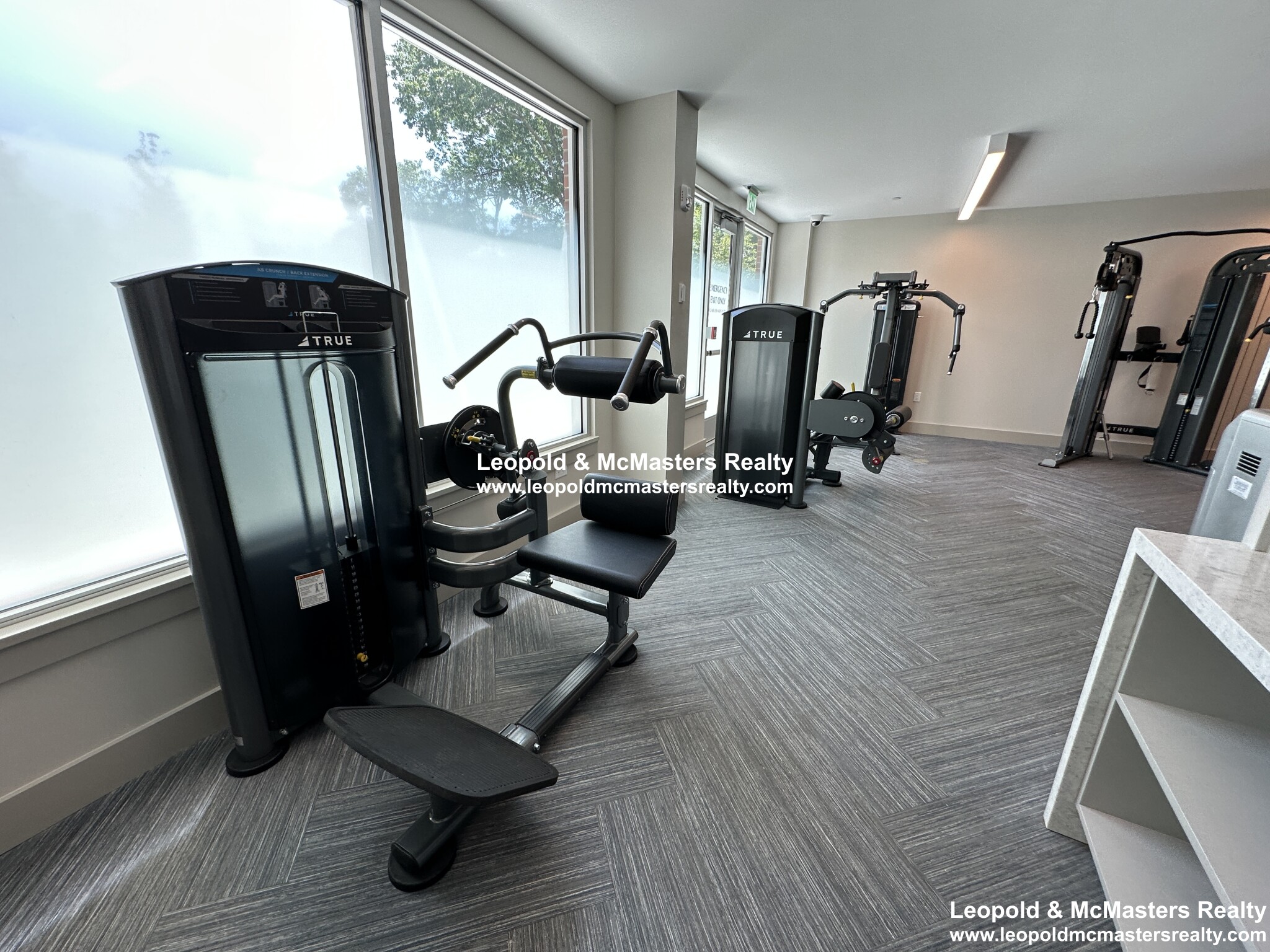 101 Asheville Rd, Chestnut Hill