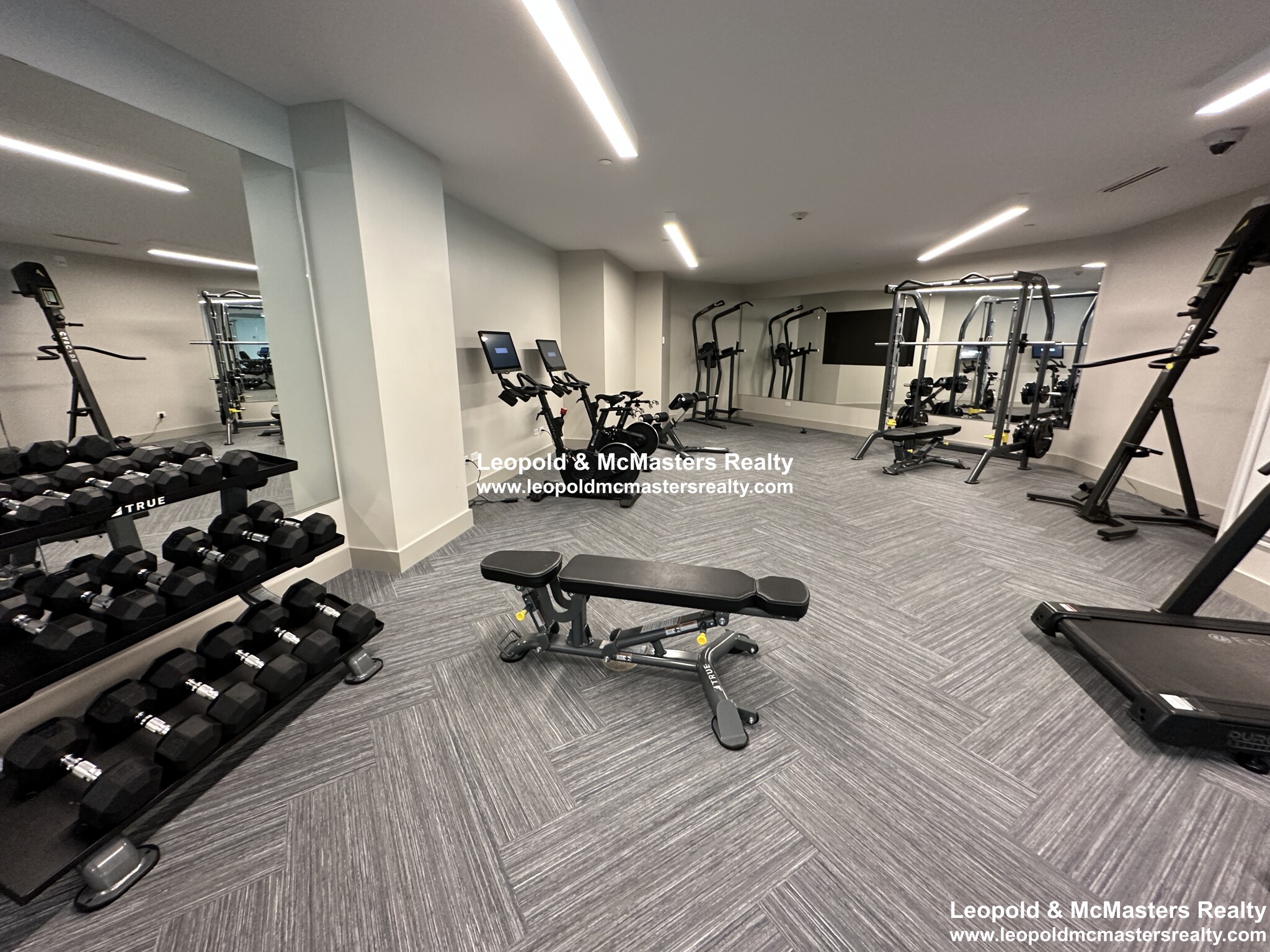 101 Asheville Rd, Chestnut Hill