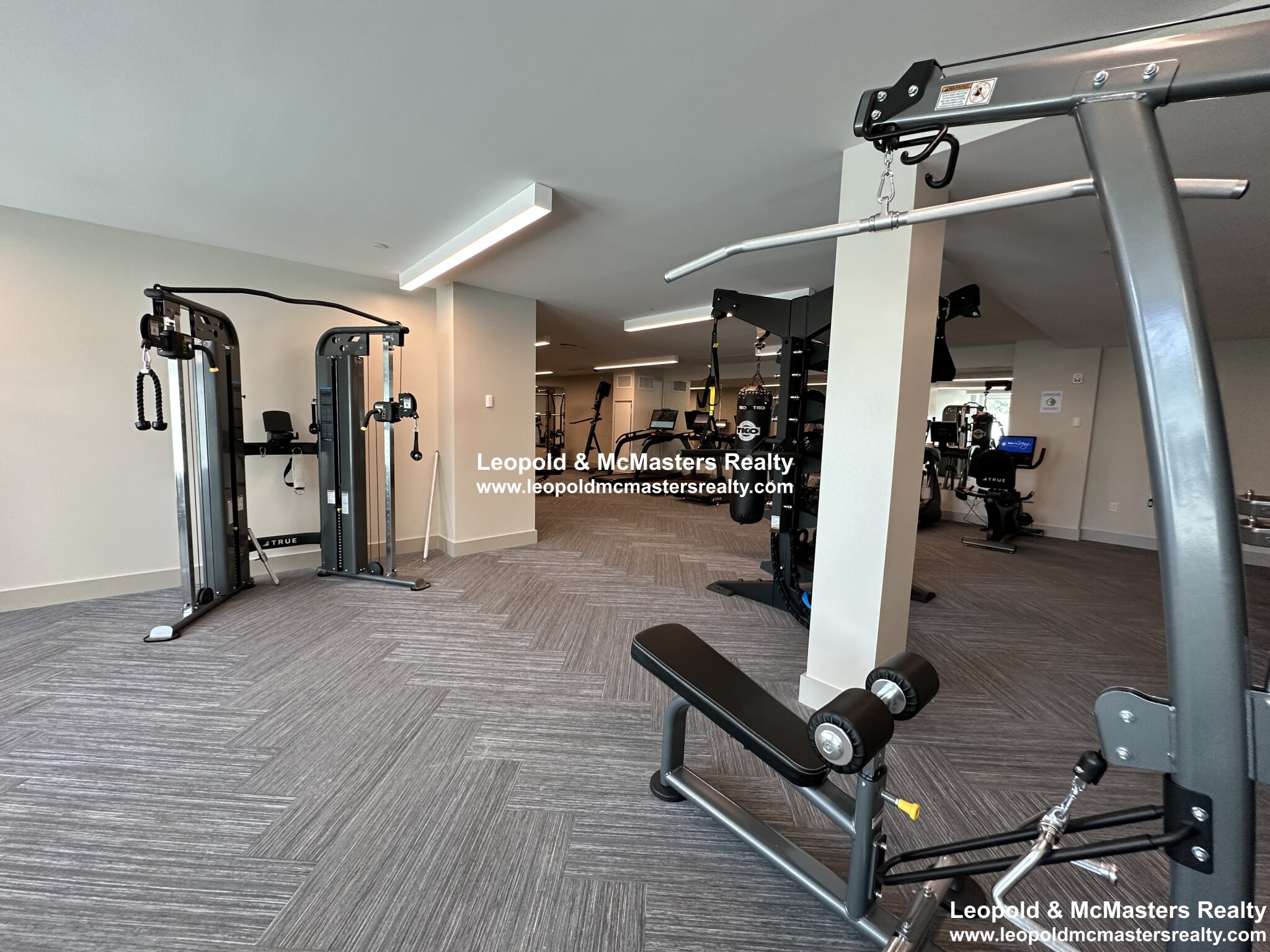 101 Asheville Rd, Chestnut Hill