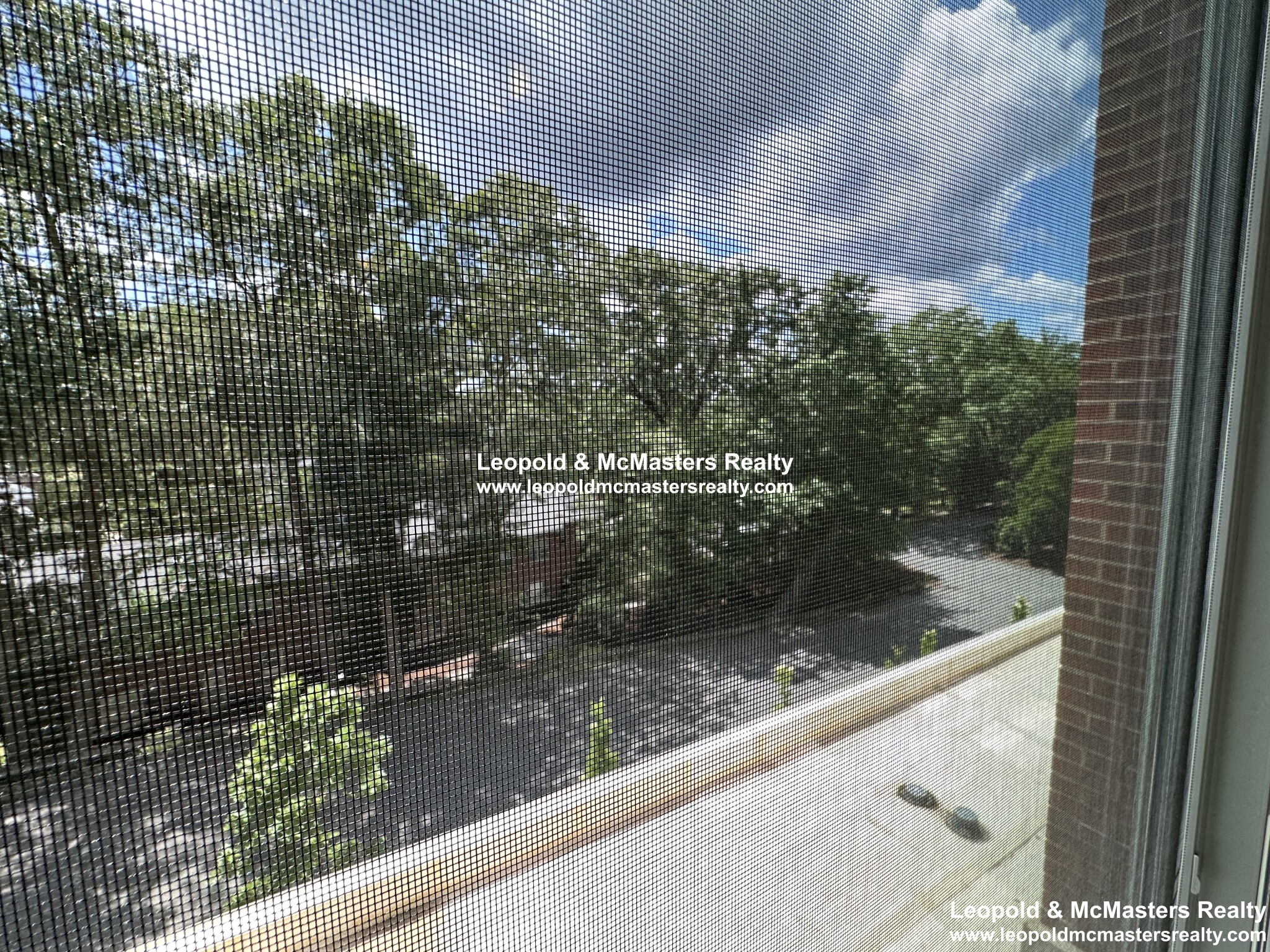 101 Asheville Rd, Chestnut Hill