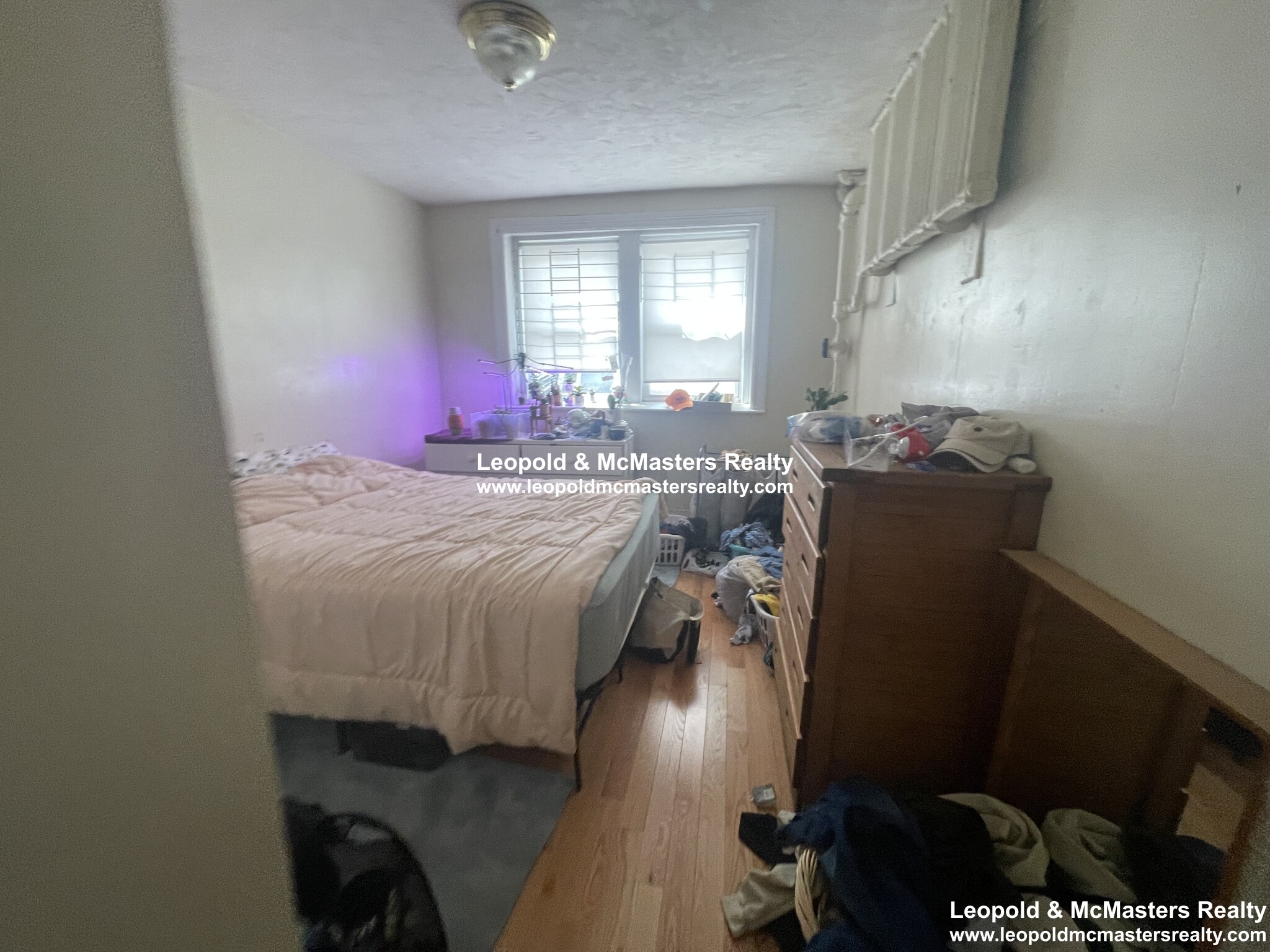 45 Chestnut Hill Ave, Brighton