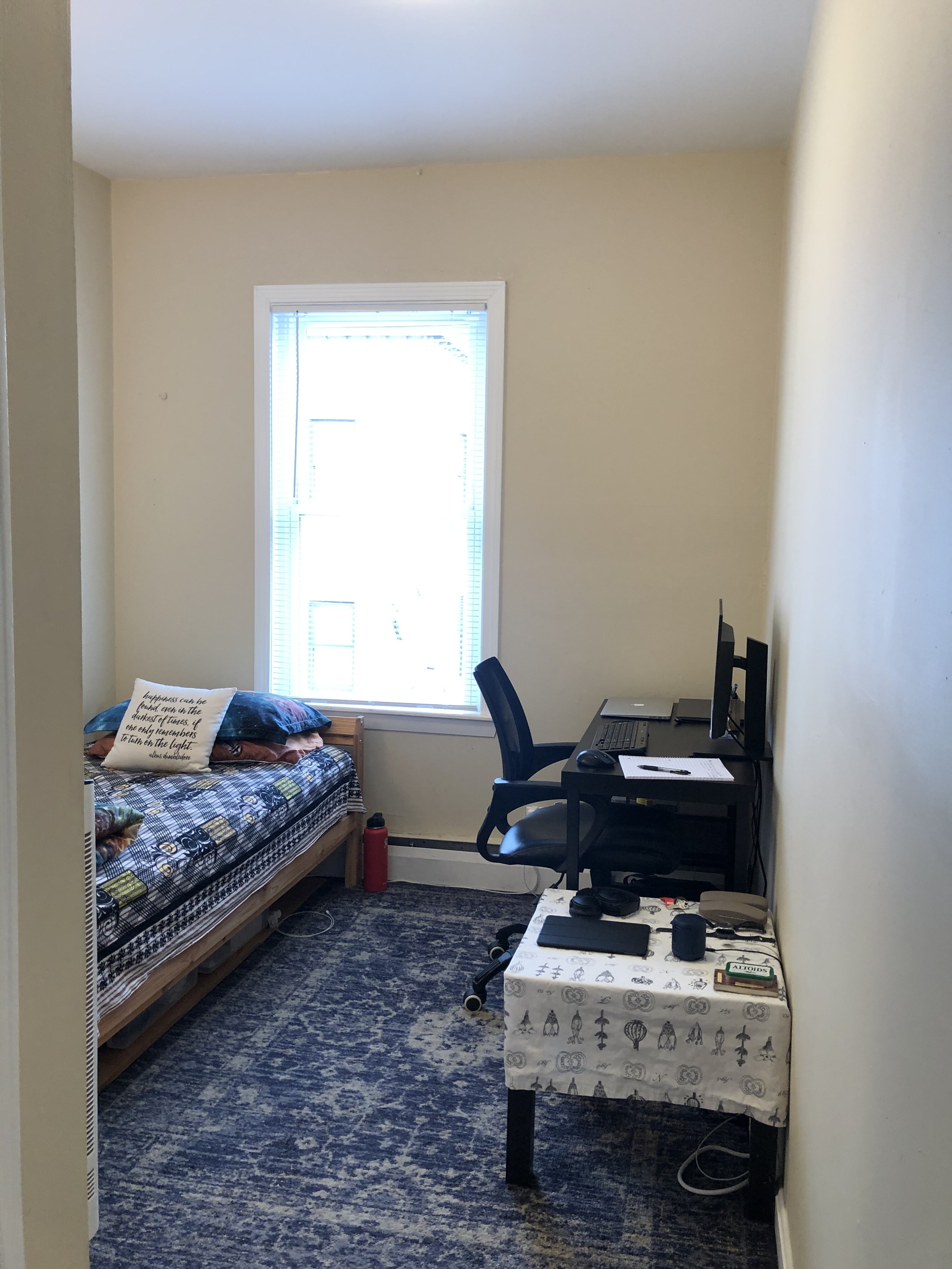 6 Bickford Ave, Mission Hill