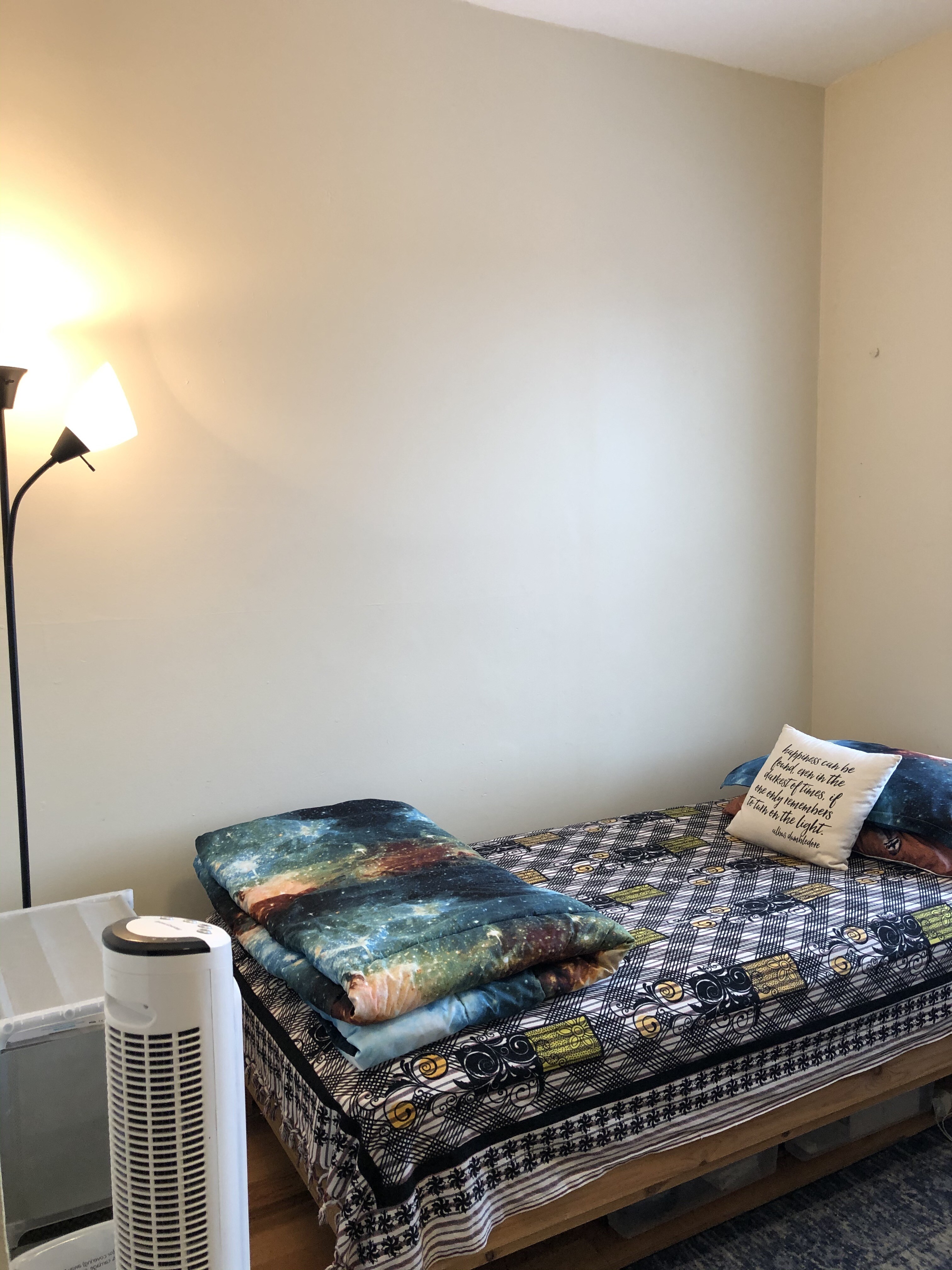 6 Bickford Ave, Mission Hill