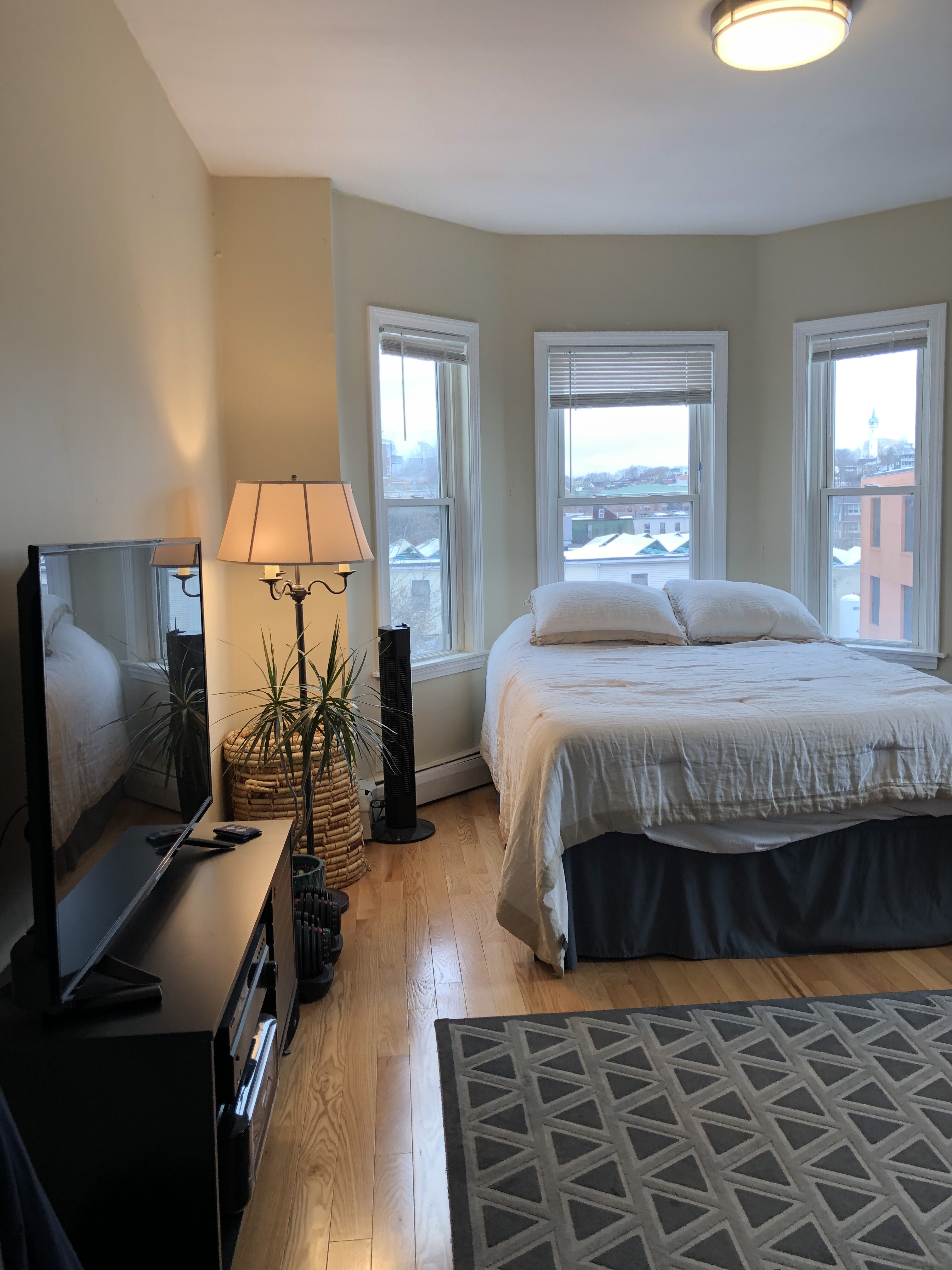 6 Bickford Ave, Mission Hill