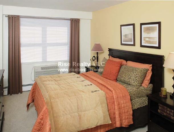 1 bed, 1 bath apartment for rent at 175 Freeman St Unit 714, Coolidge Corner — photo 2 of 11