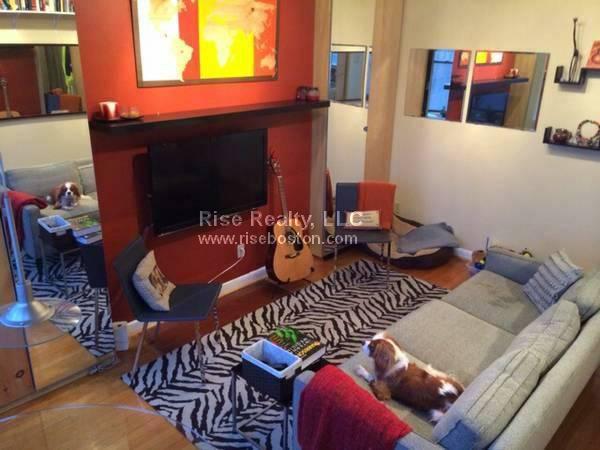 1 bed, 1 bath apartment for rent at 4 Commonwealth Ct Unit 18, Brighton — photo 4 of 11
