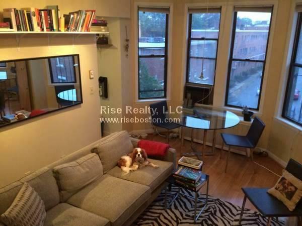1 bed, 1 bath apartment for rent at 4 Commonwealth Ct Unit 18, Brighton — photo 6 of 11