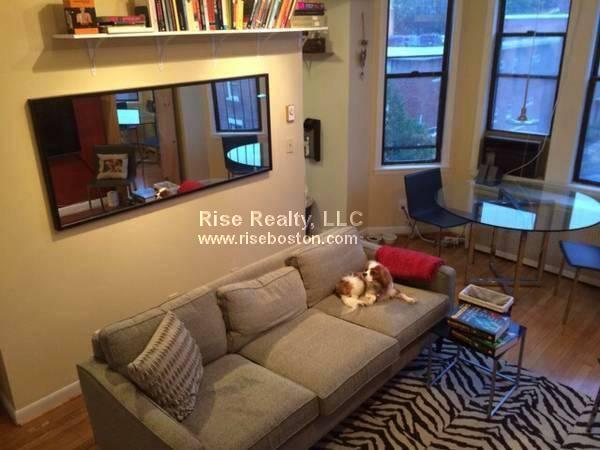 1 bed, 1 bath apartment for rent at 4 Commonwealth Ct Unit 18, Brighton — photo 5 of 11