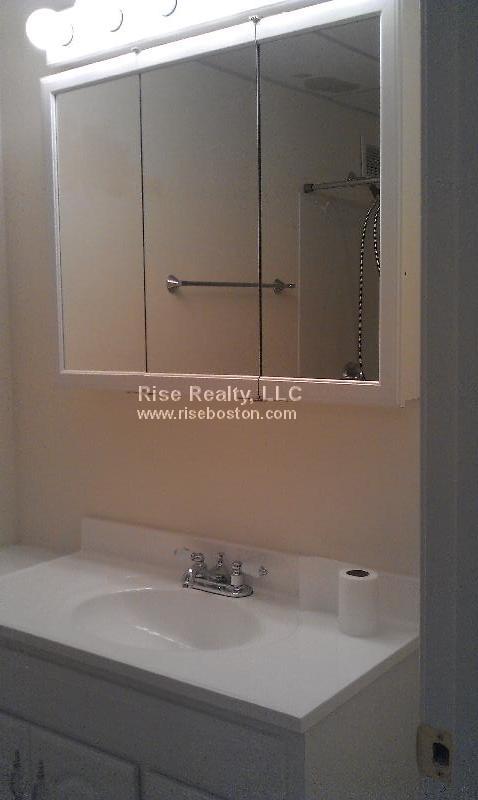 50-56 Broadlawn Park, Chestnut Hill