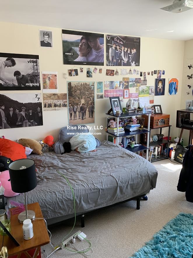 3 bed, 1 bath apartment for rent at 1 Lanark Rd Unit 4, Brookline — photo 5 of 7