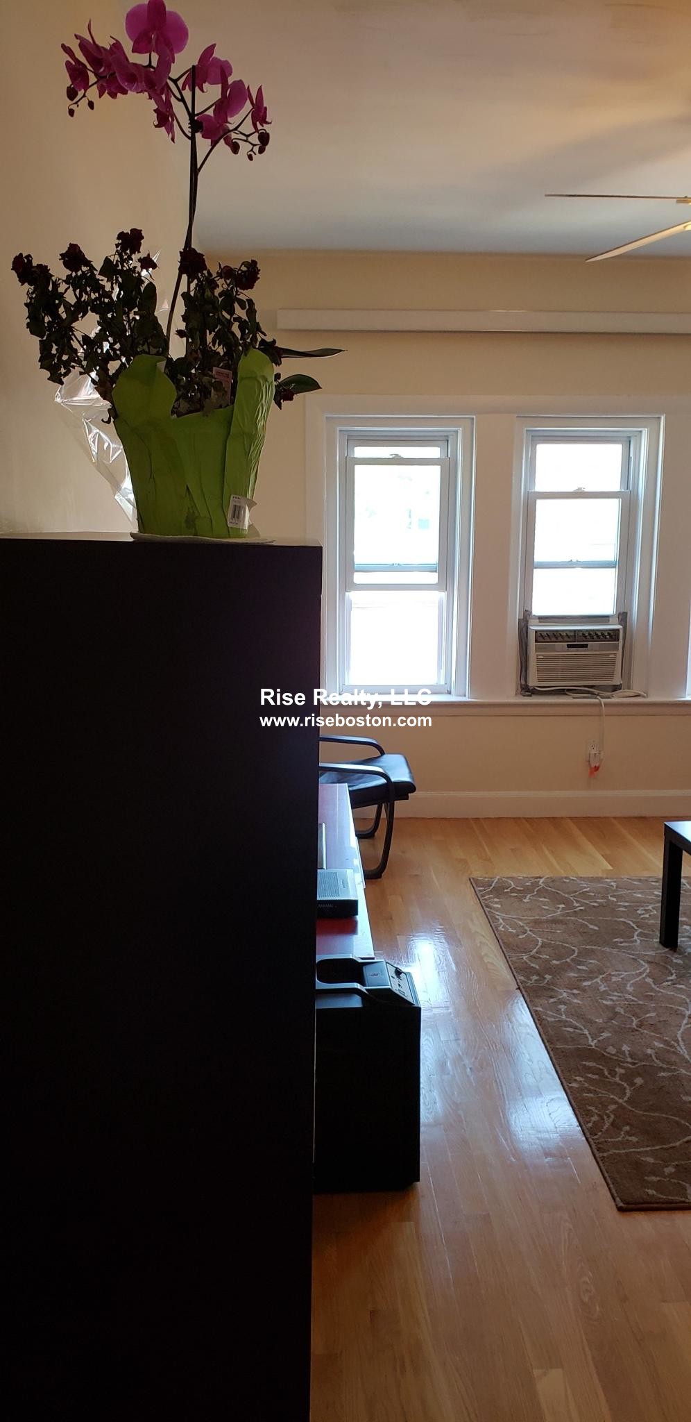1 bed, 1 bath apartment for rent at 3 Englewood Ave Unit 12A, Brookline — photo 5 of 5