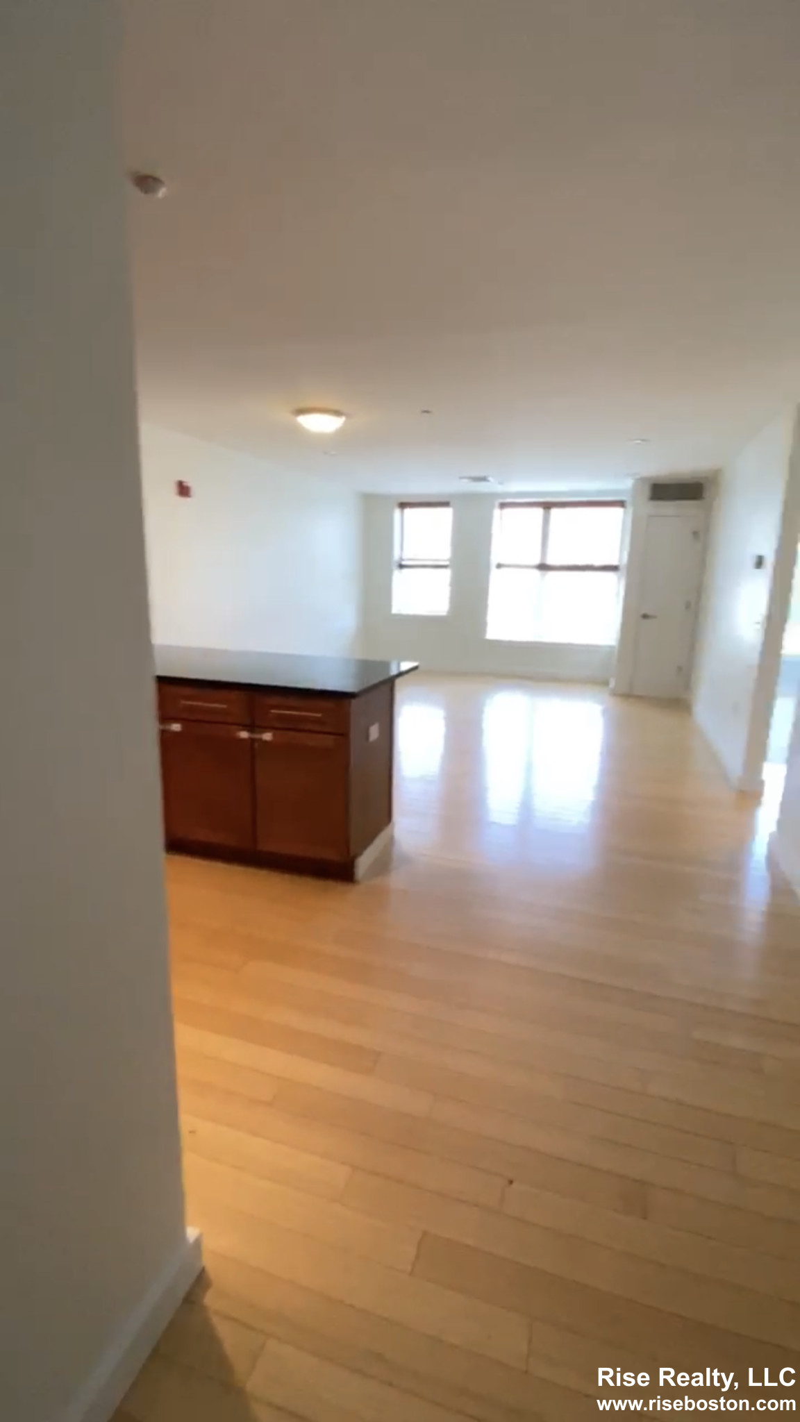 99 Chestnut Hill Ave, Brighton